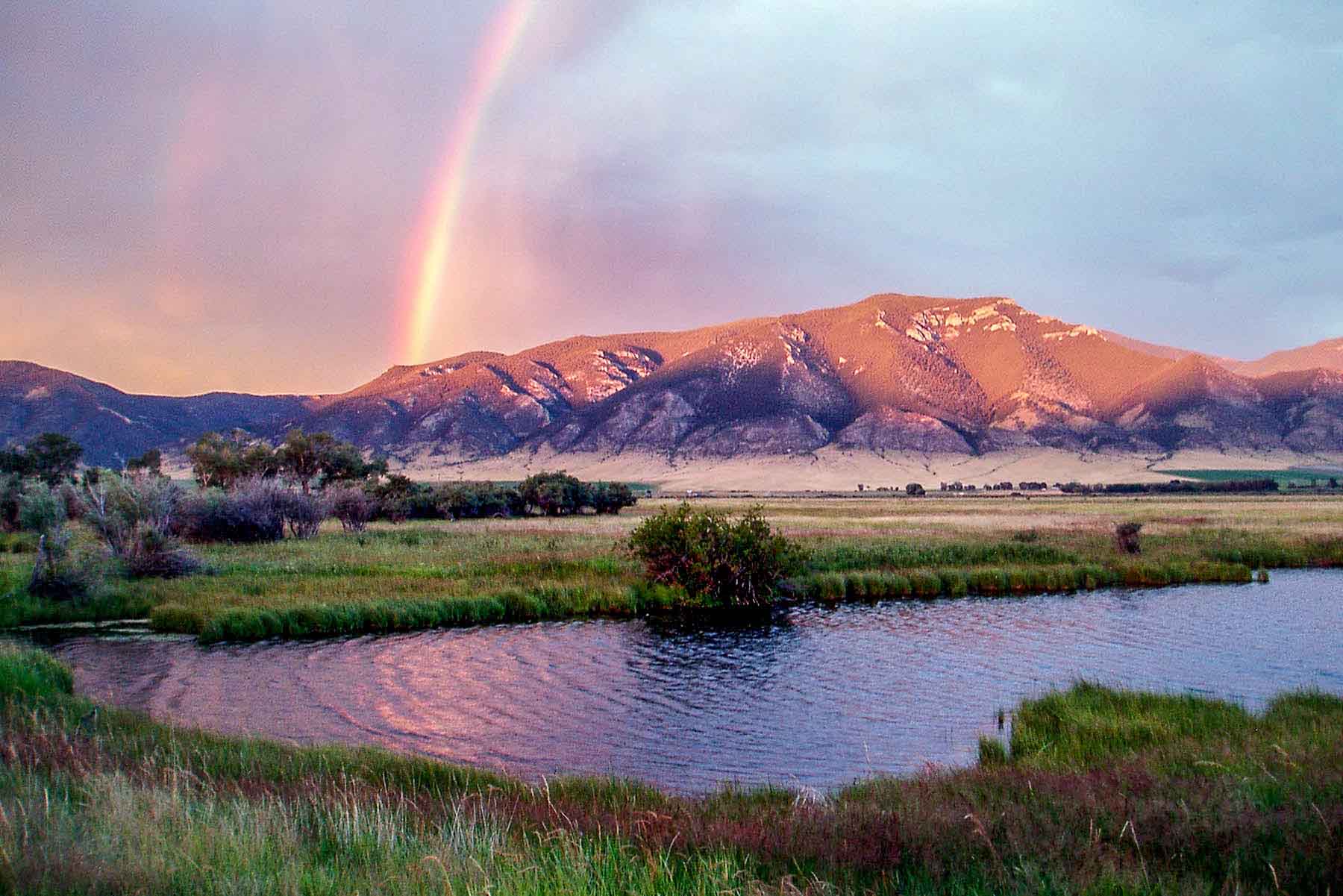 Circle 9 Spring Creek Ranch property picture 53 of 53