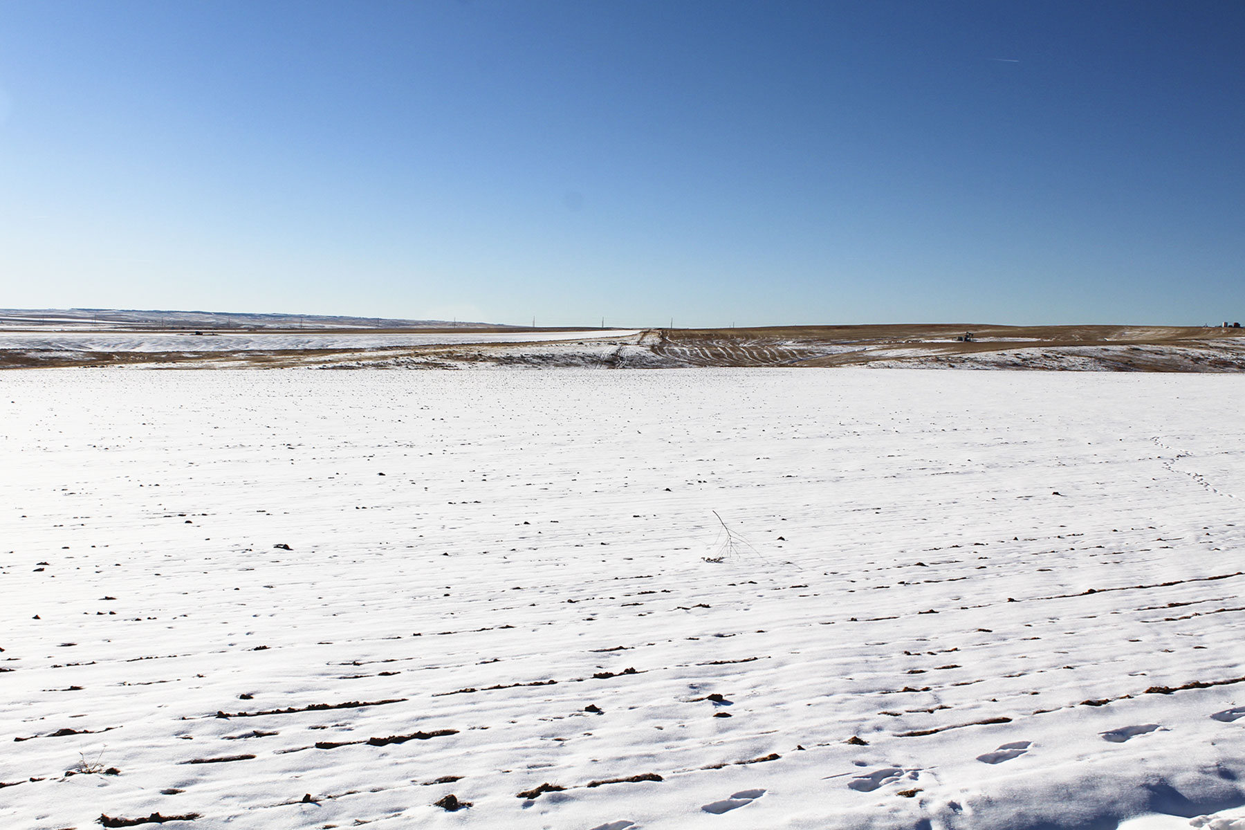 Golden Acres property picture 3 of 23