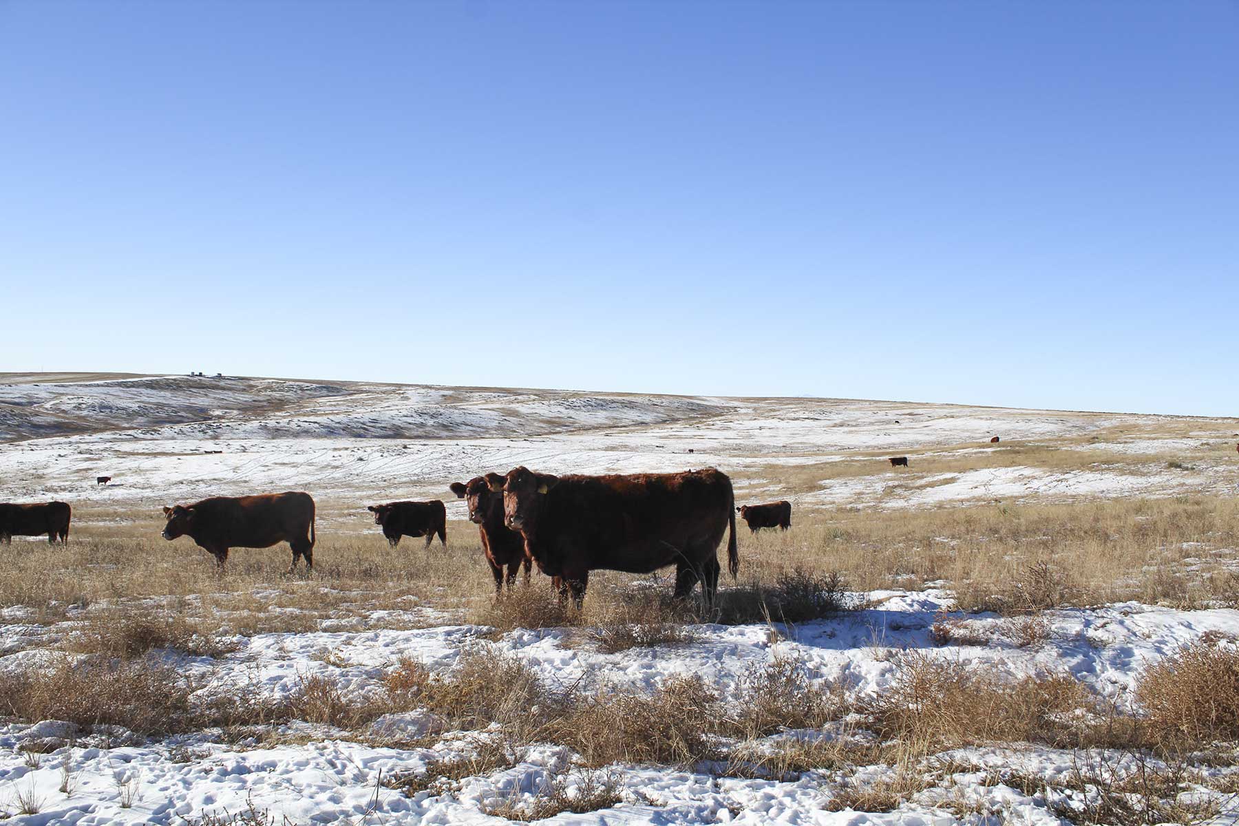 Golden Acres property picture 5 of 23