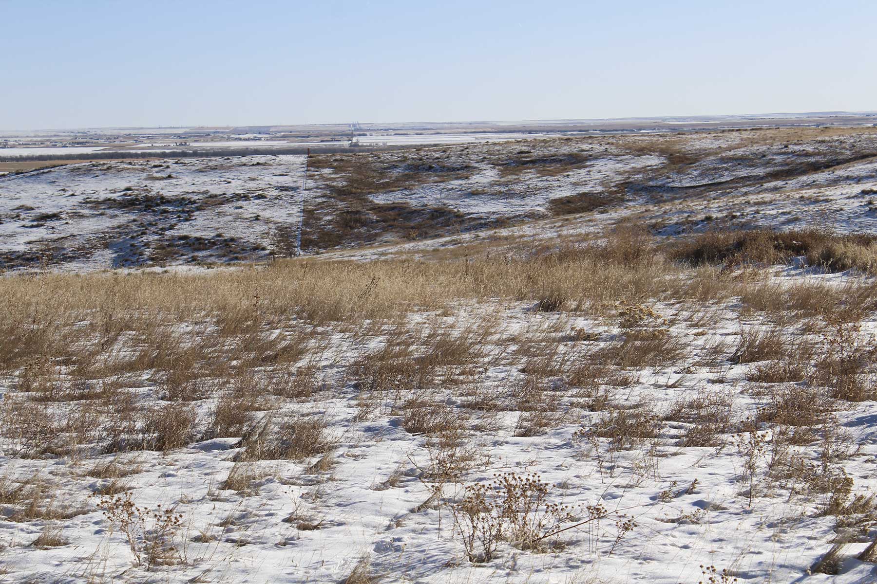 Golden Acres property picture 9 of 23