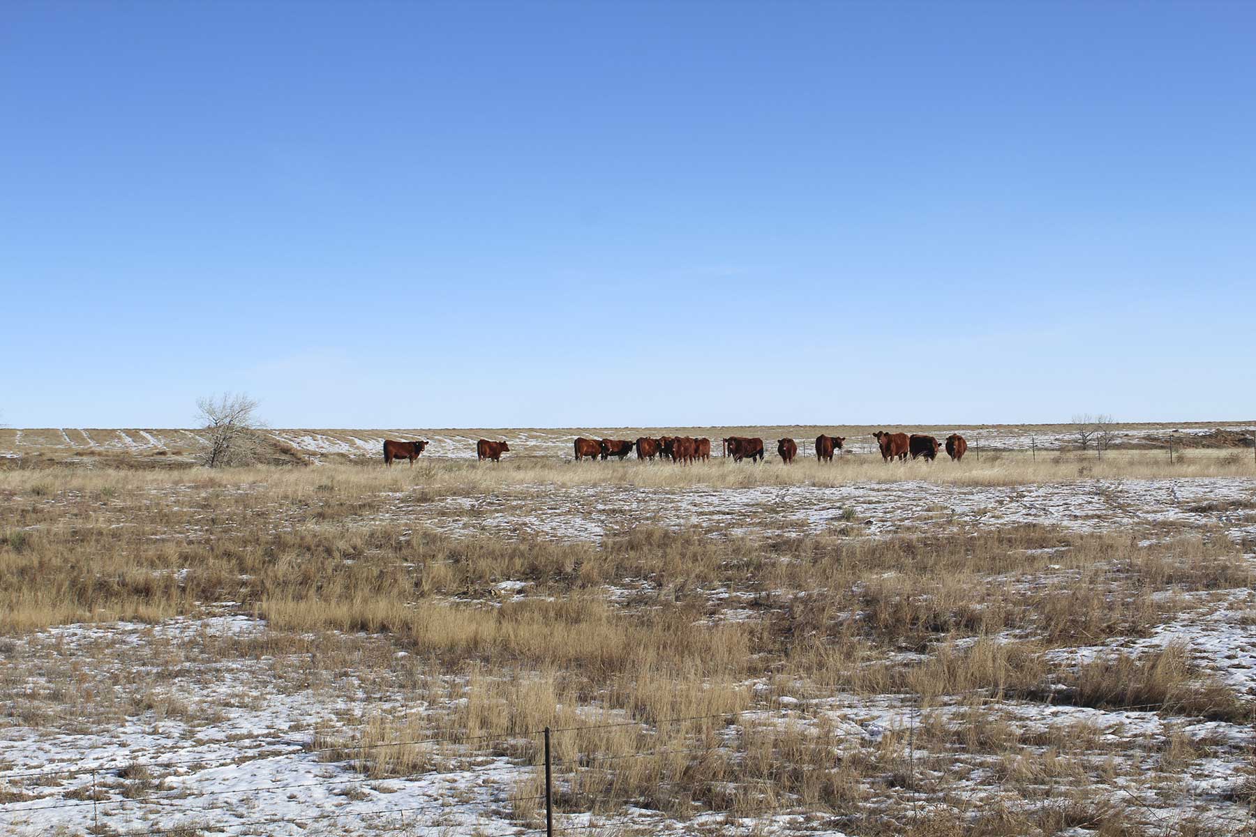 Golden Acres property picture 15 of 23