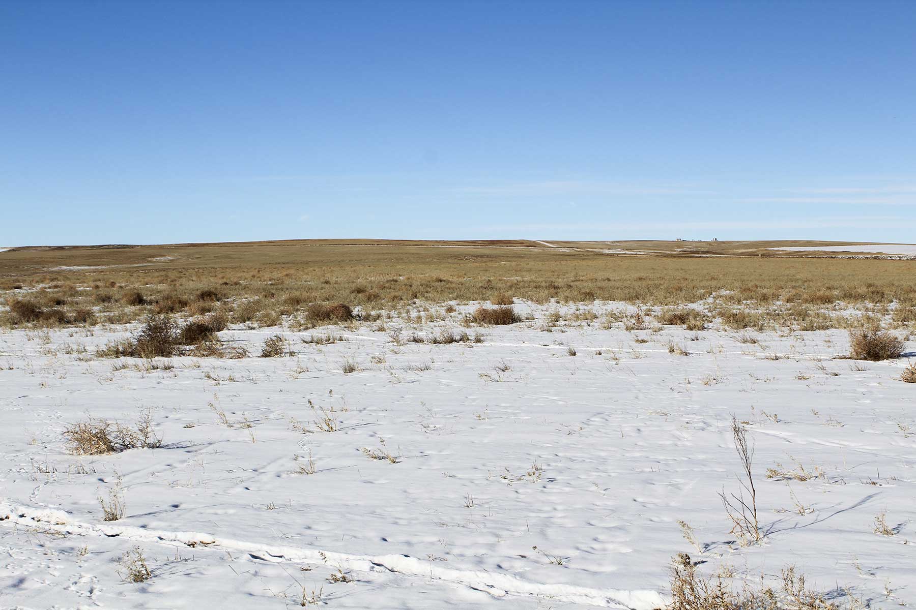 Golden Acres property picture 17 of 23