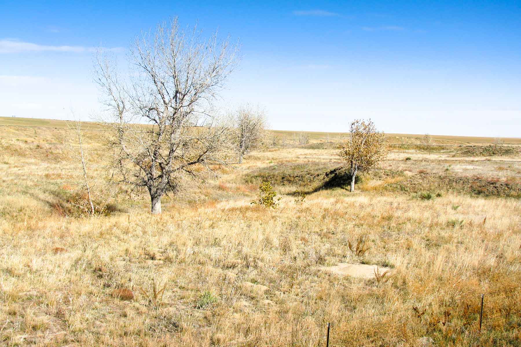 Golden Acres property picture 22 of 23