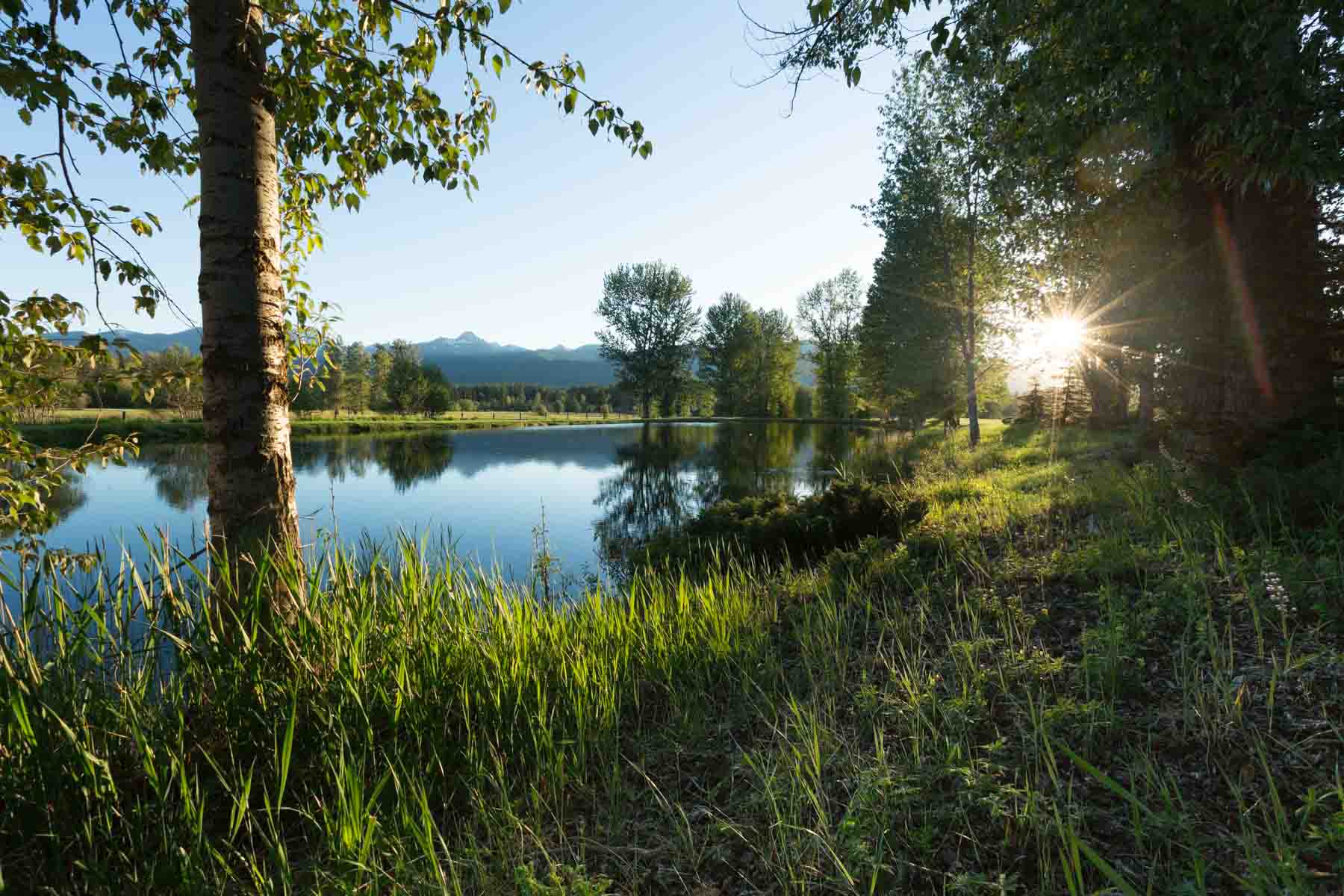 Lazy E Bar Z Ranch property picture 6 of 41