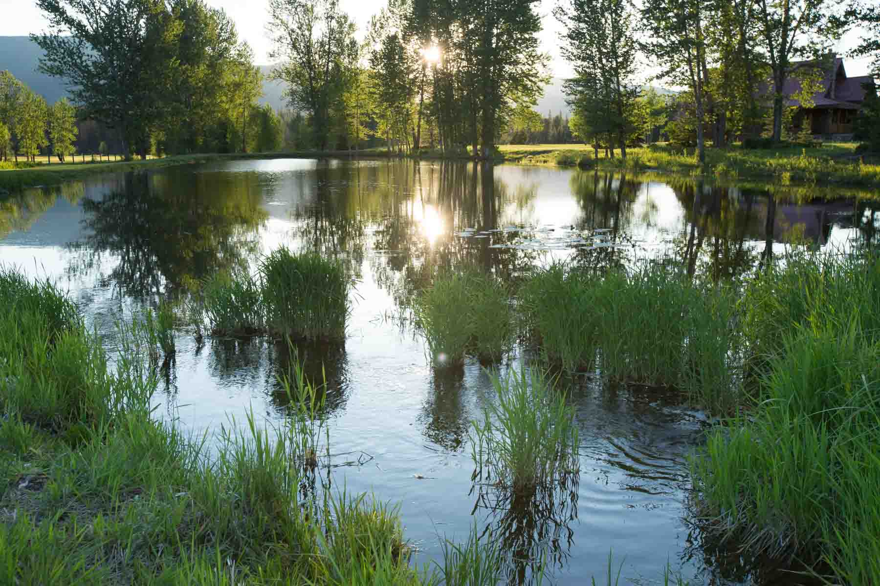 Lazy E Bar Z Ranch property picture 7 of 41