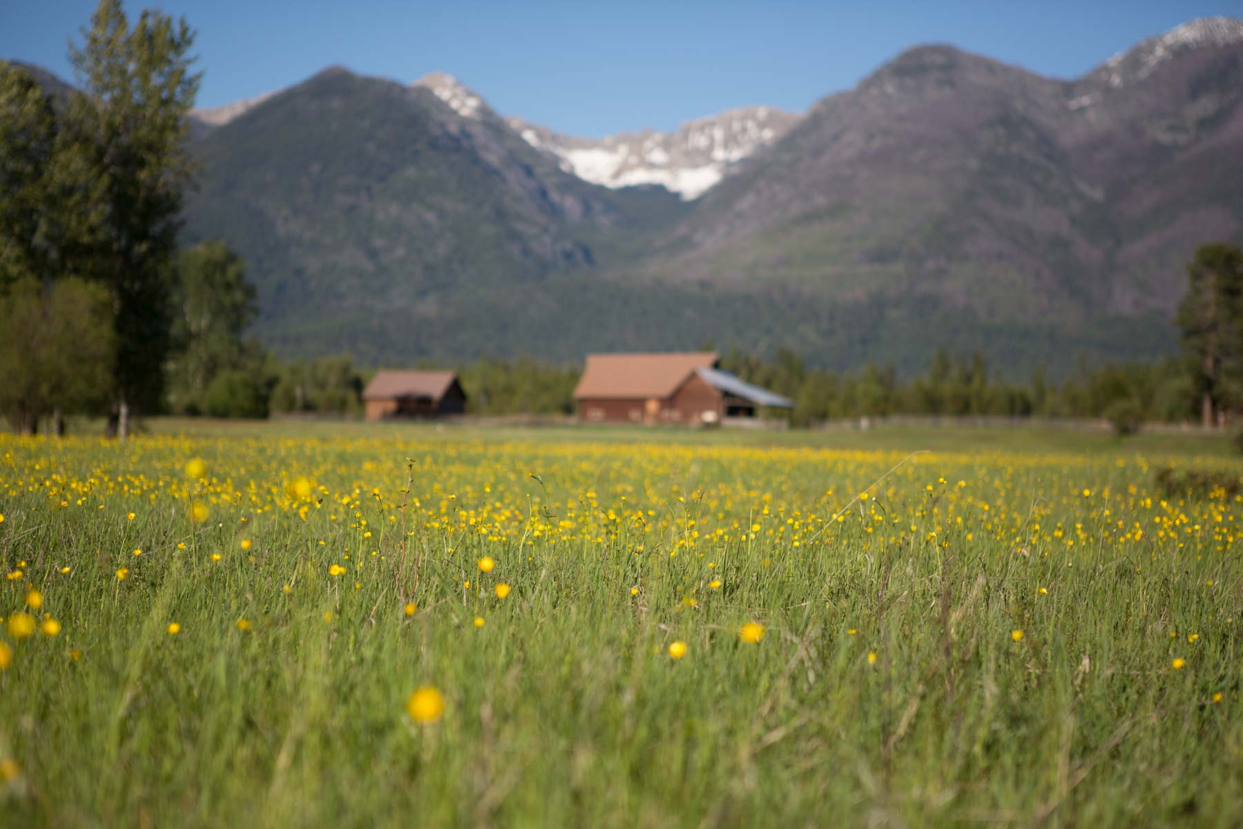 Lazy E Bar Z Ranch property picture 32 of 41
