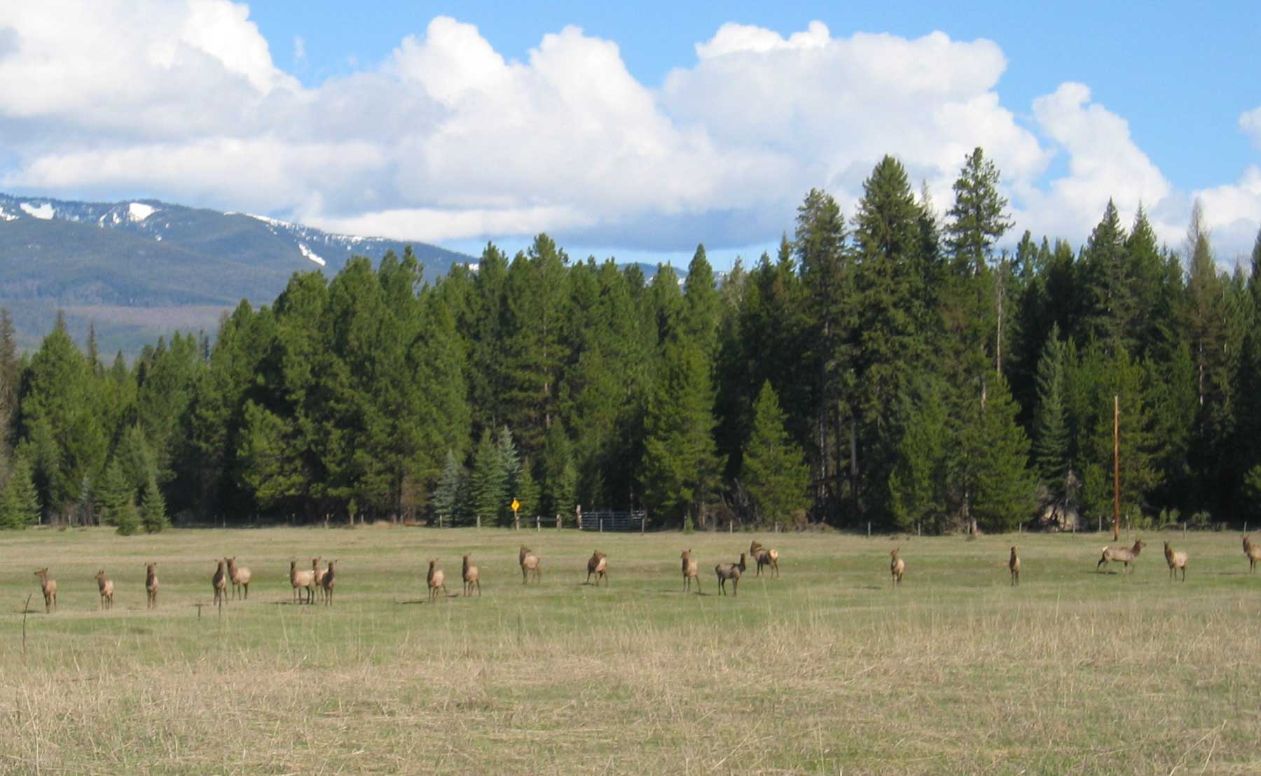 Lazy E Bar Z Ranch property picture 36 of 41