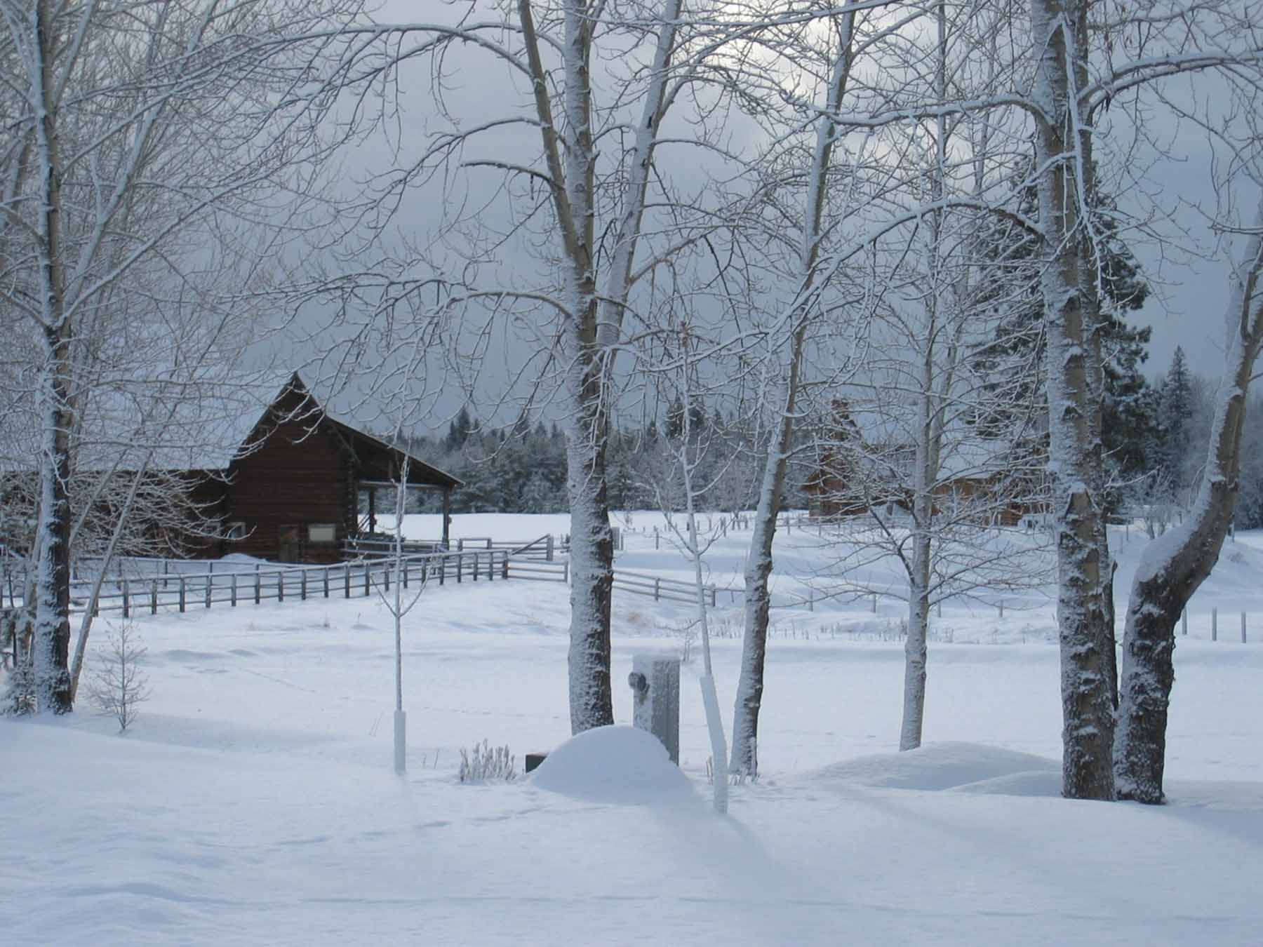 Lazy E Bar Z Ranch property picture 40 of 41