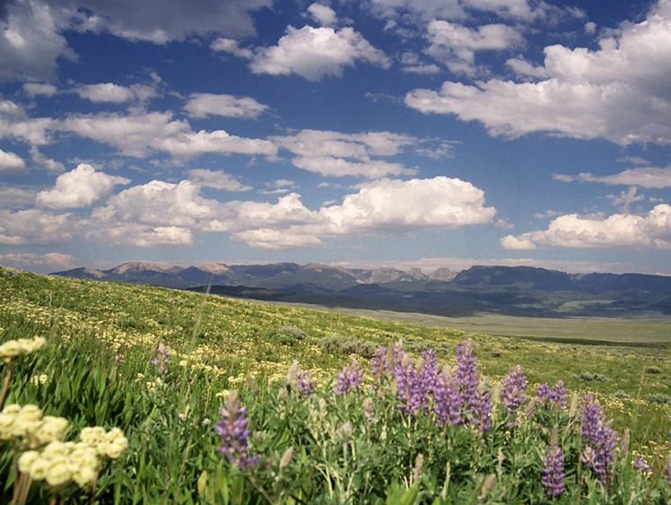 Flying A Ranch property picture 2 of 4