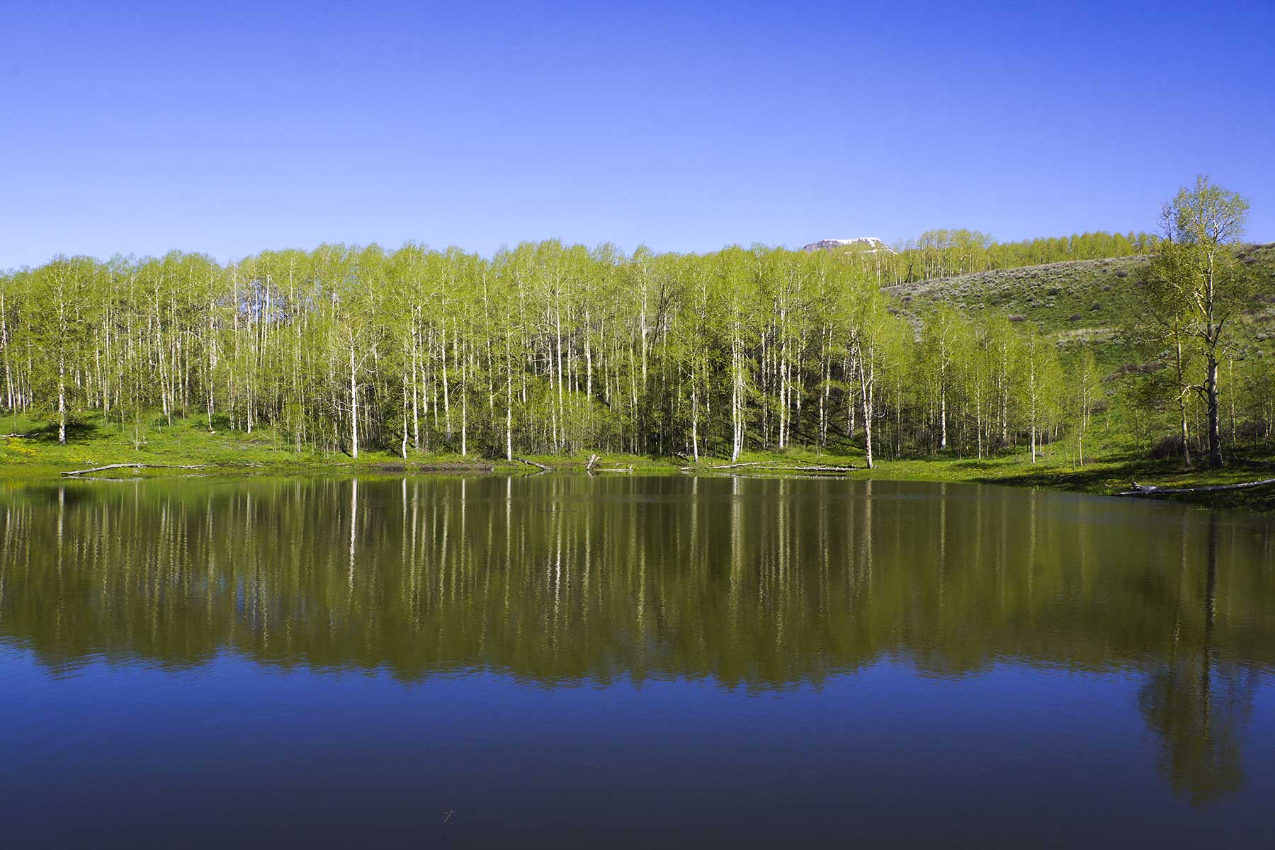 Owen-Skiles Sunnyside Ranch property picture 30 of 54