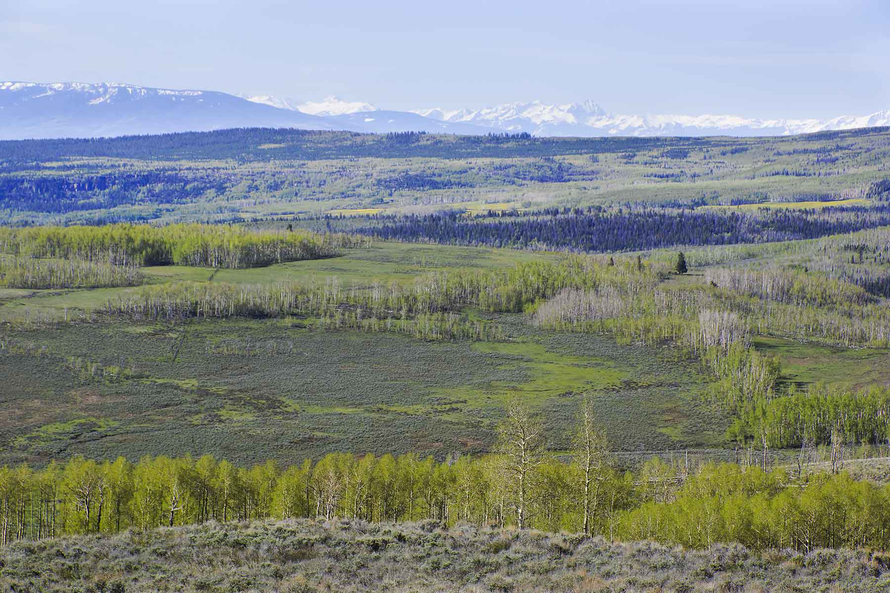 Owen-Skiles Sunnyside Ranch property picture 50 of 54