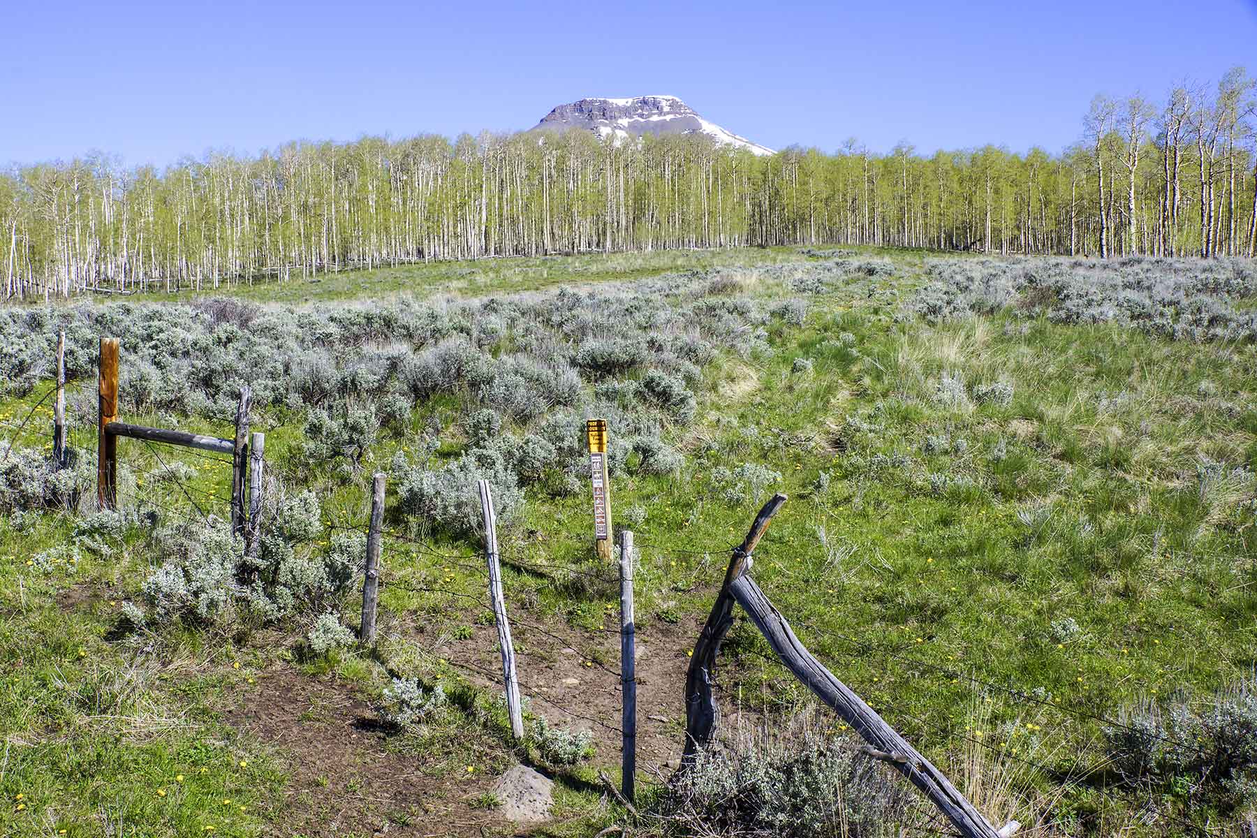 Owen-Skiles Sunnyside Ranch property picture 52 of 54