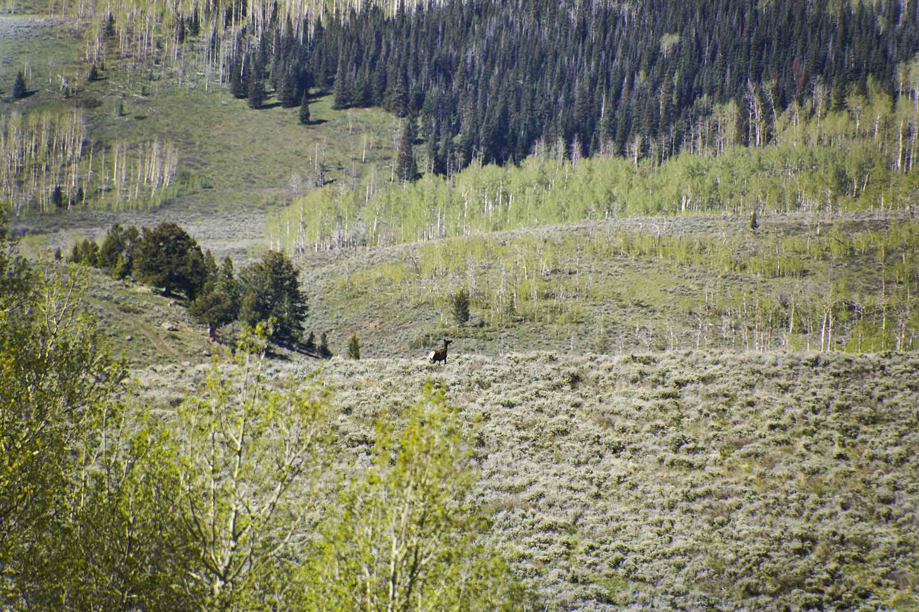 Owen-Skiles Sunnyside Ranch property picture 32 of 54