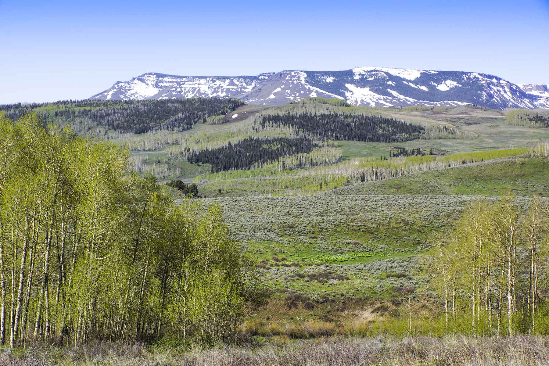 Owen-Skiles Sunnyside Ranch property picture 39 of 54
