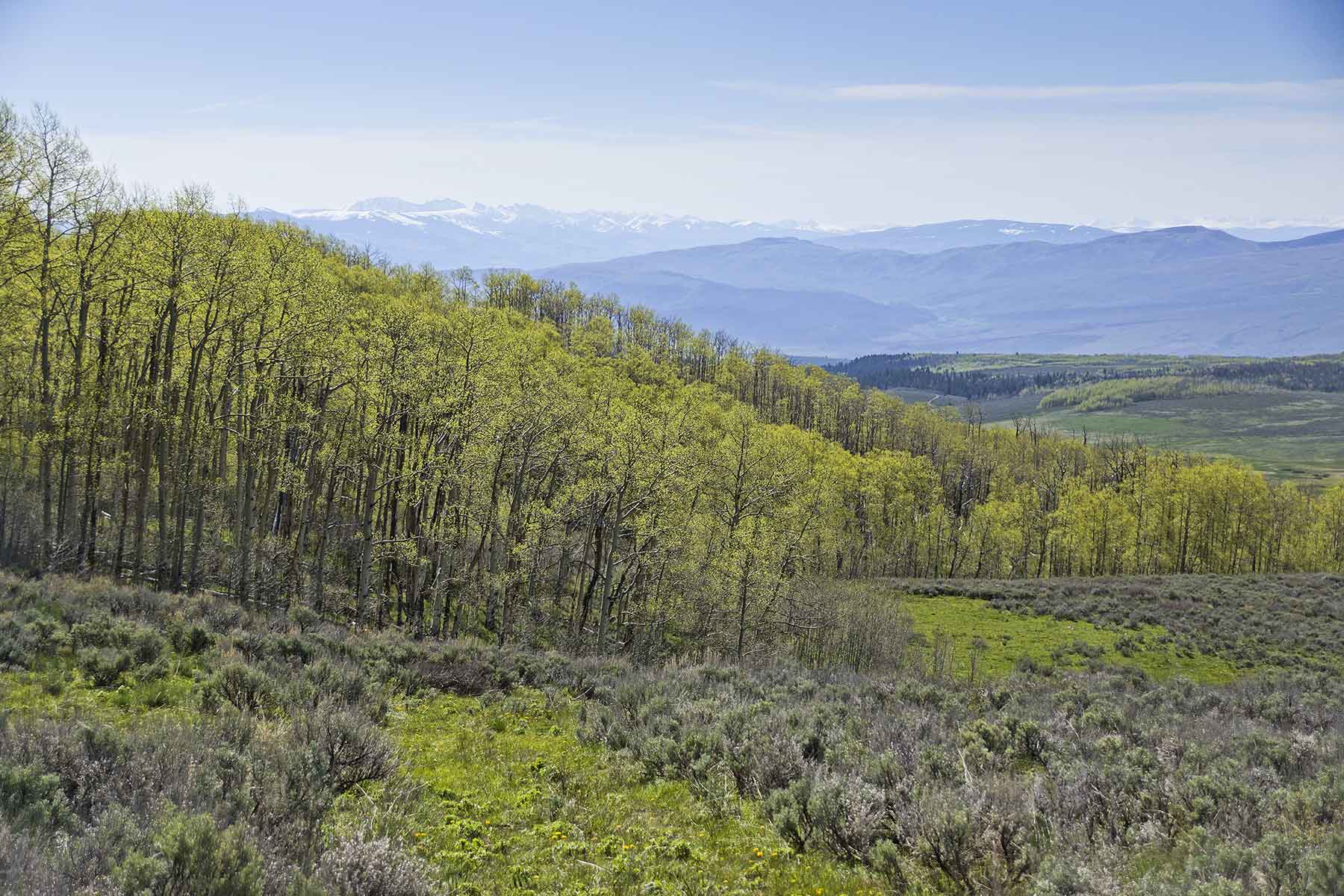 Owen-Skiles Sunnyside Ranch property picture 35 of 54