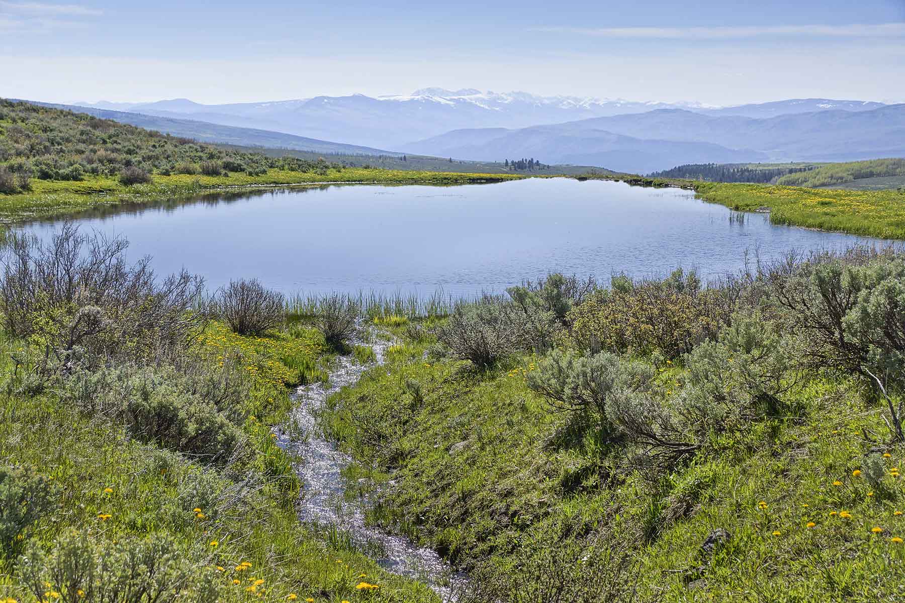 Owen-Skiles Sunnyside Ranch property picture 33 of 54