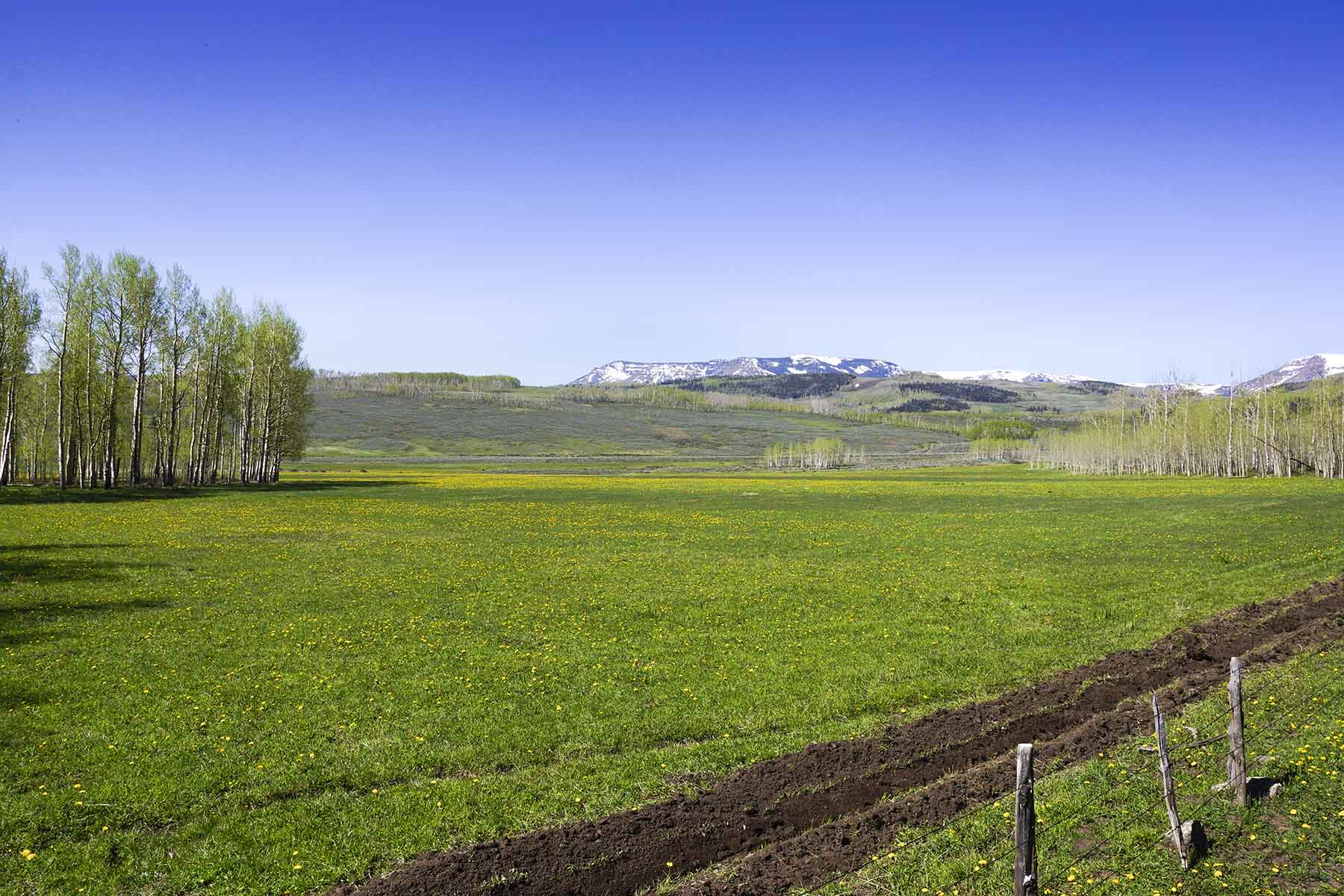 Owen-Skiles Sunnyside Ranch property picture 34 of 54