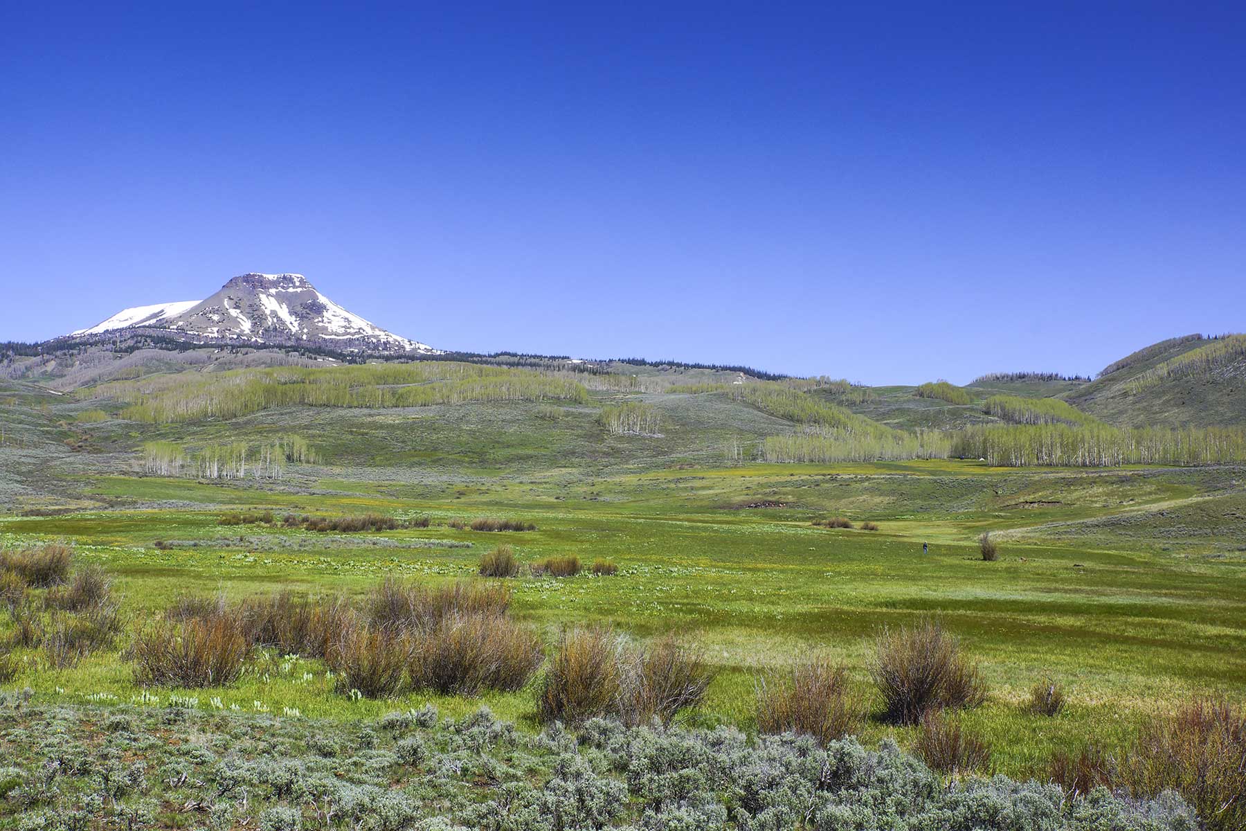 Owen-Skiles Sunnyside Ranch property picture 46 of 54