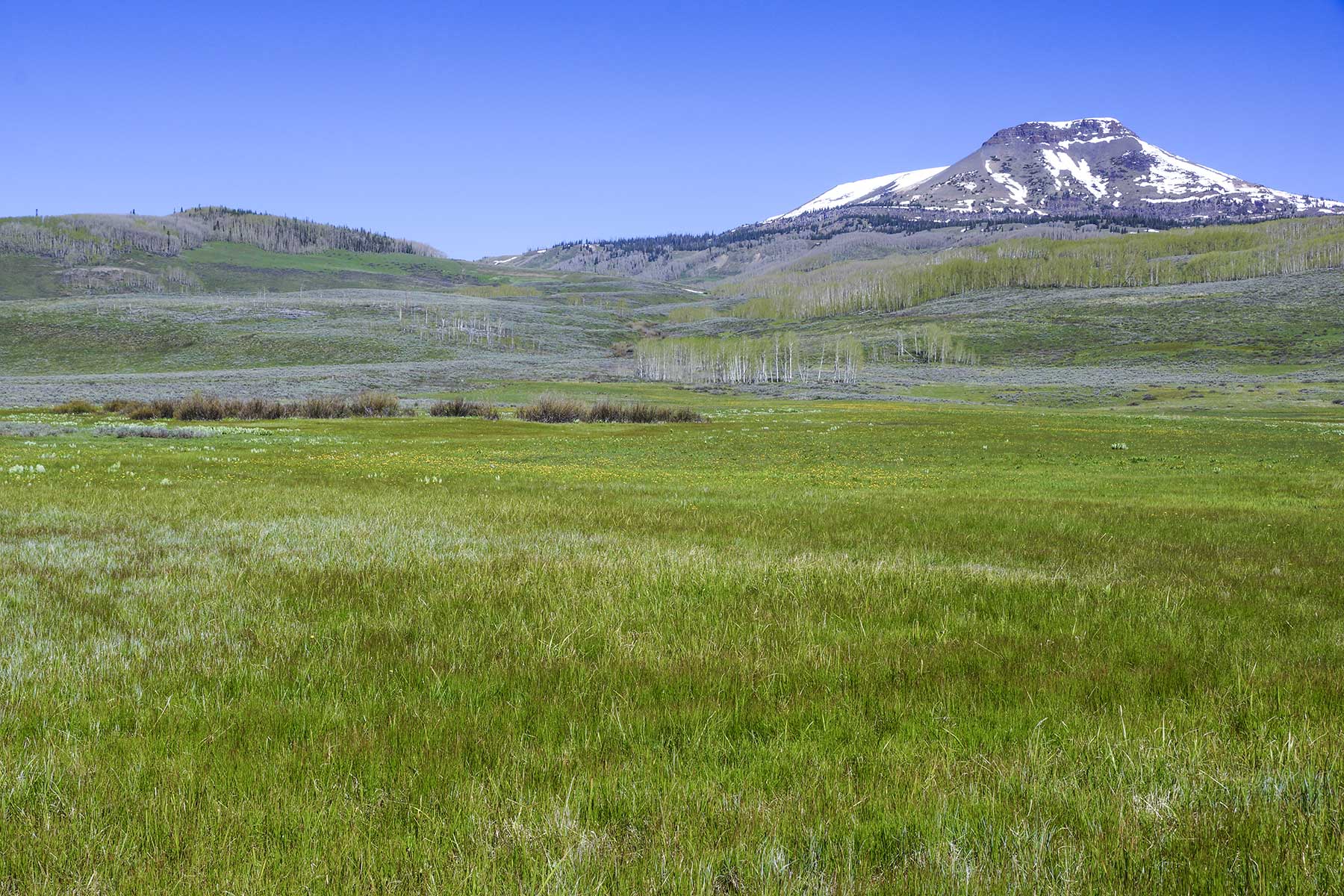 Owen-Skiles Sunnyside Ranch property picture 37 of 54