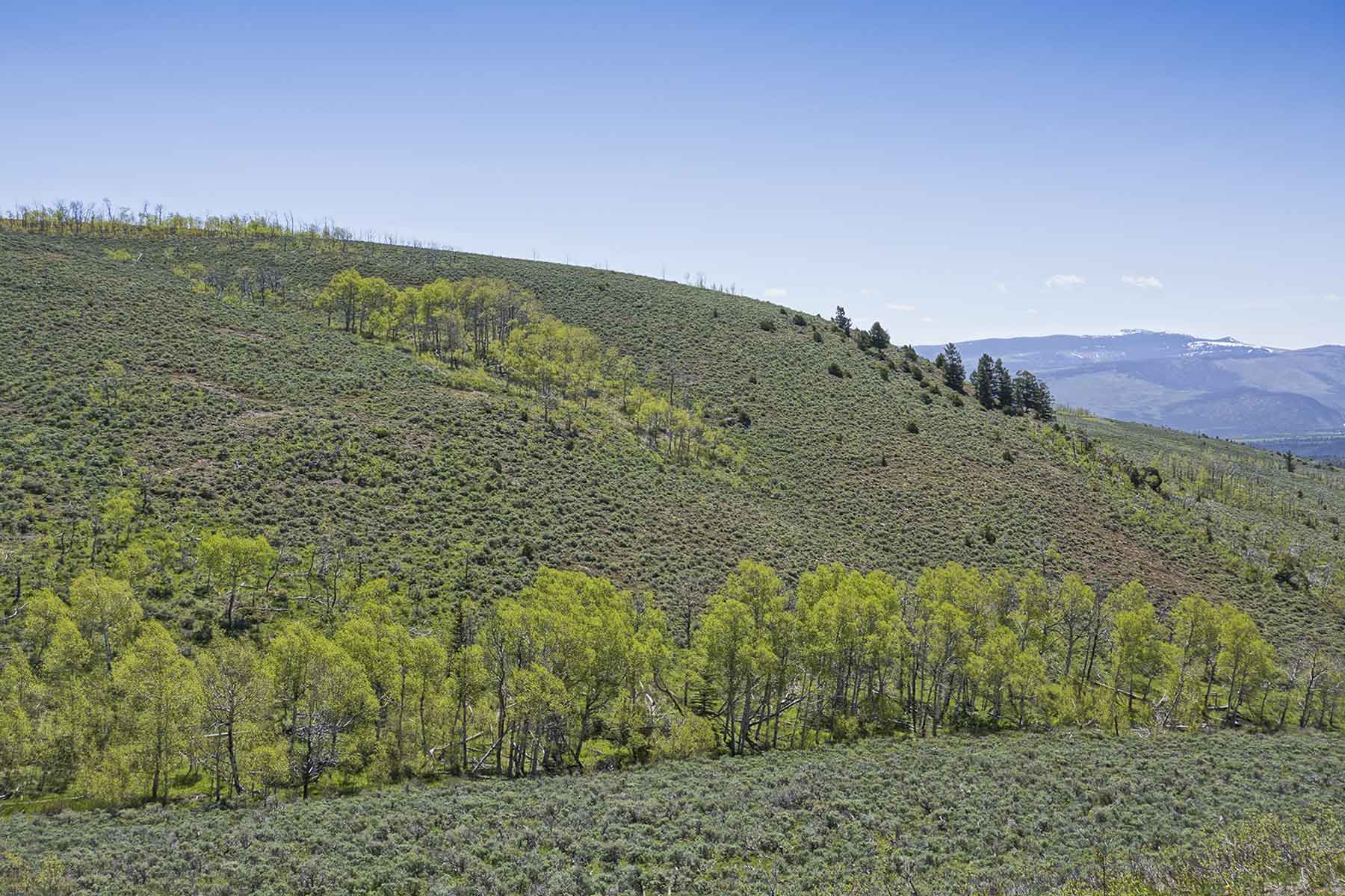 Owen-Skiles Sunnyside Ranch property picture 40 of 54