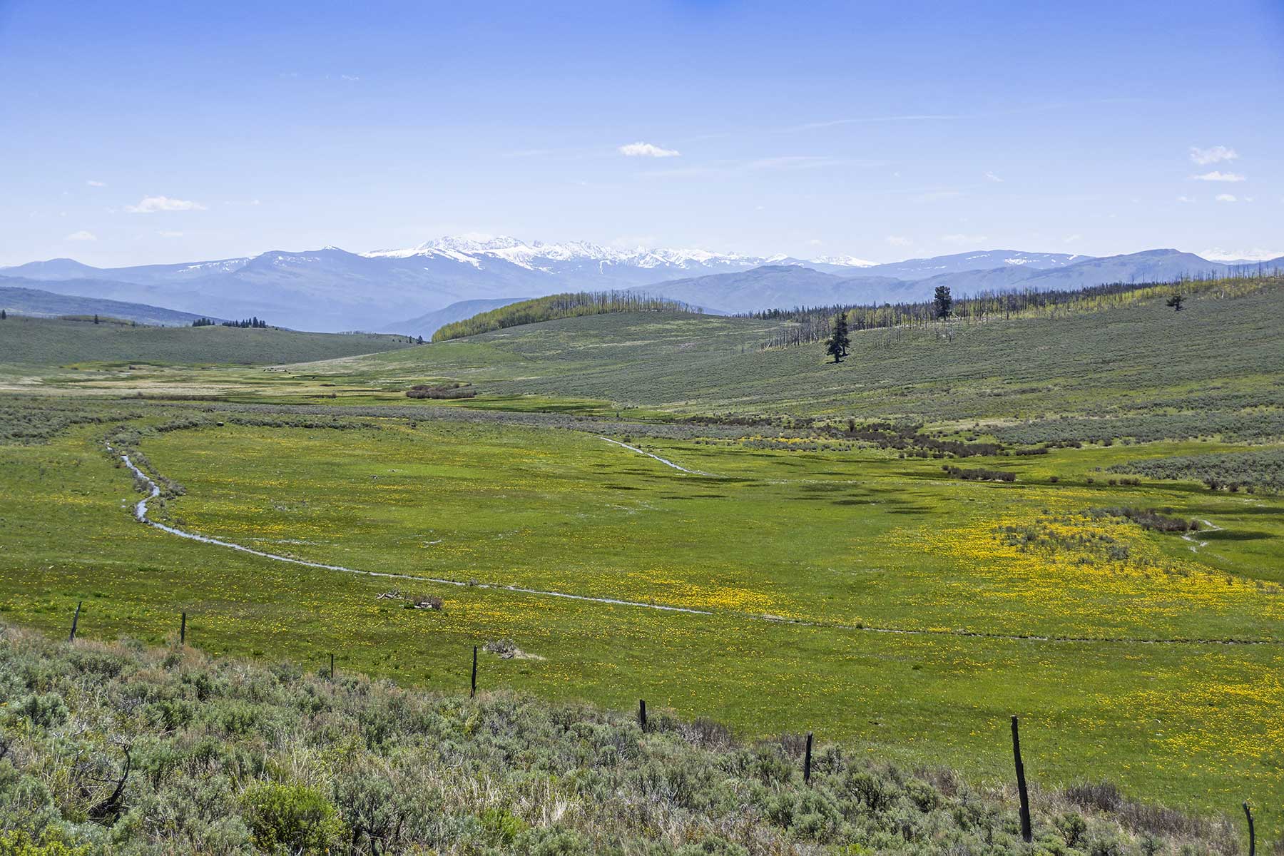 Owen-Skiles Sunnyside Ranch property picture 31 of 54