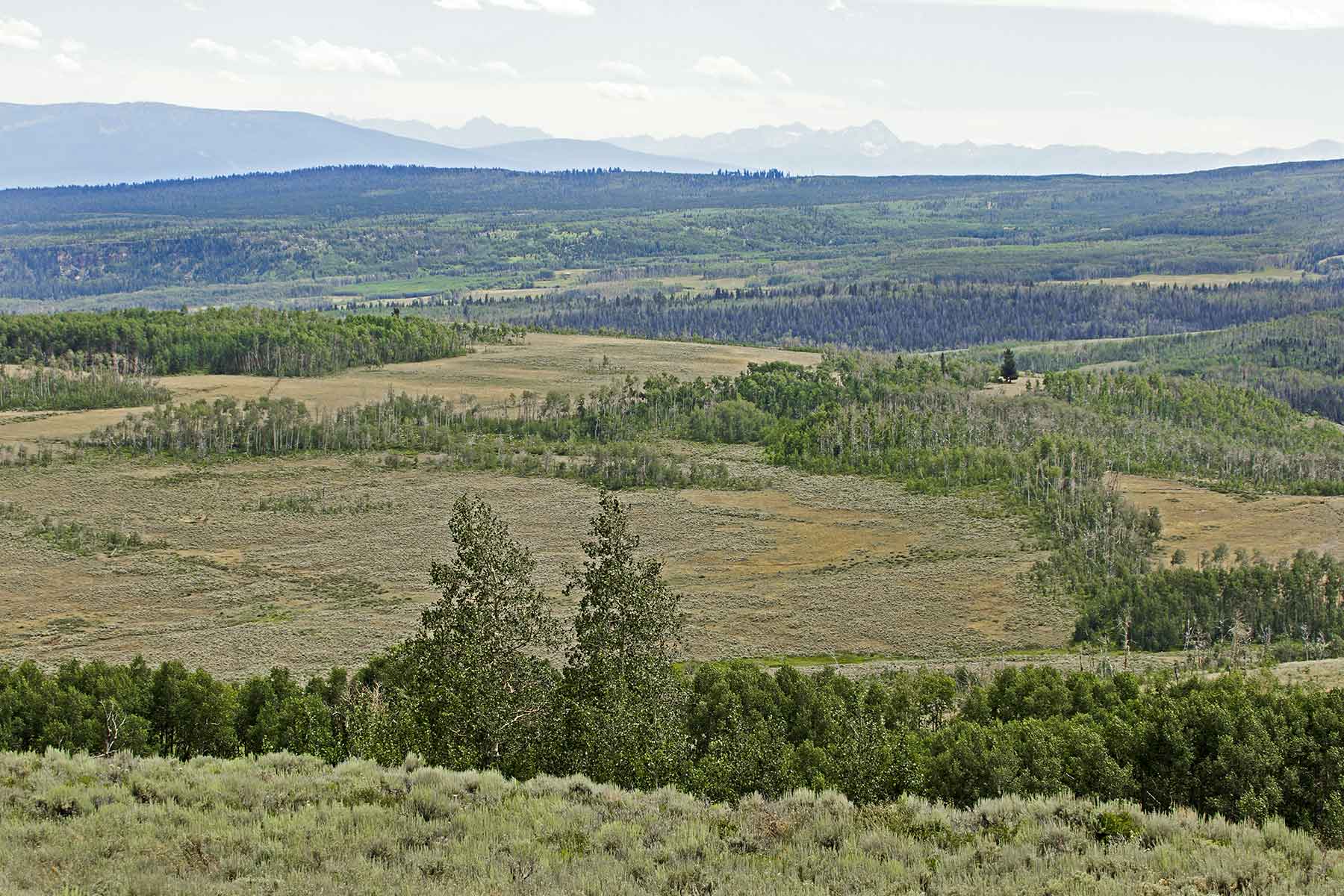Owen-Skiles Sunnyside Ranch property picture 15 of 54