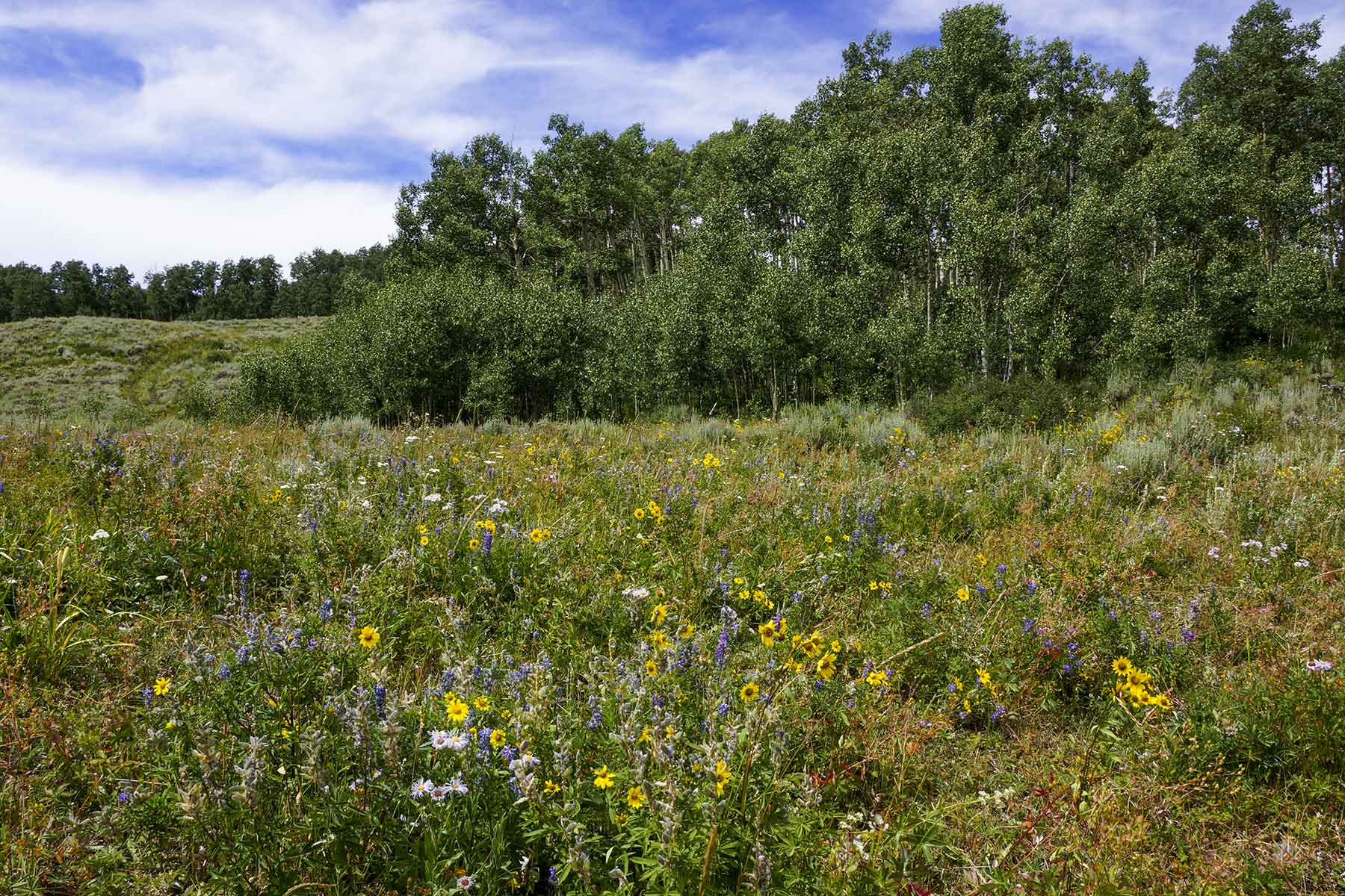 Owen-Skiles Sunnyside Ranch property picture 41 of 54