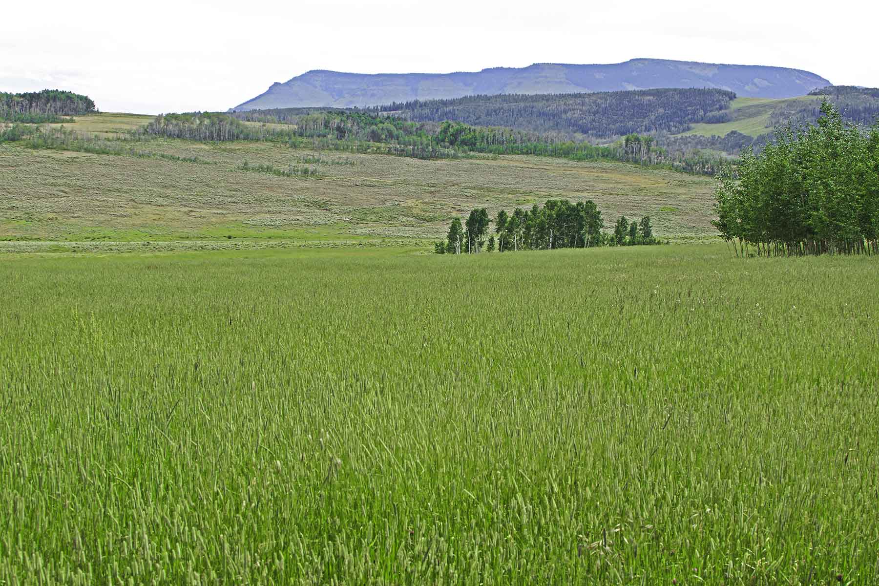 Owen-Skiles Sunnyside Ranch property picture 12 of 54