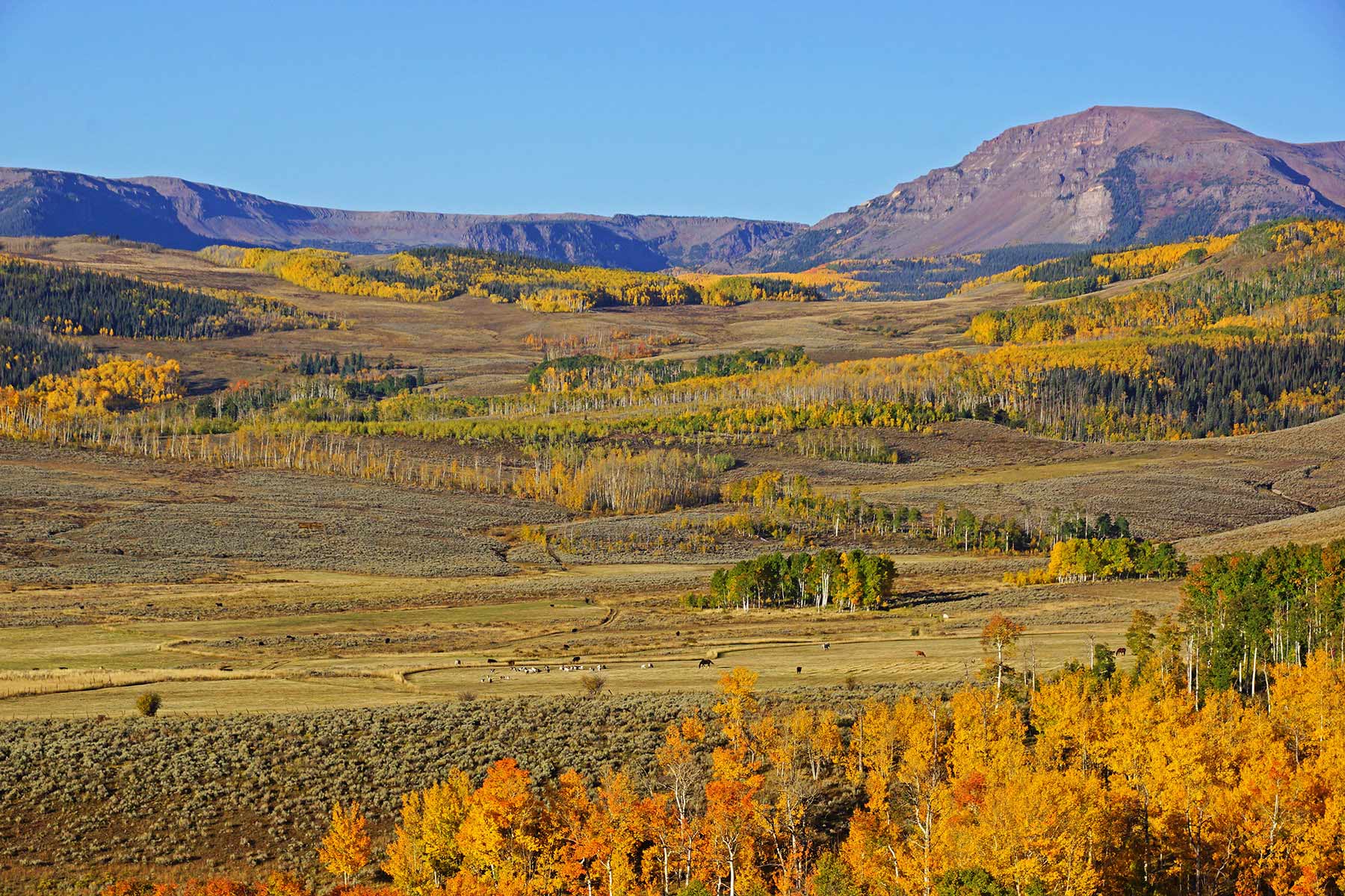 Owen-Skiles Sunnyside Ranch property picture 4 of 54
