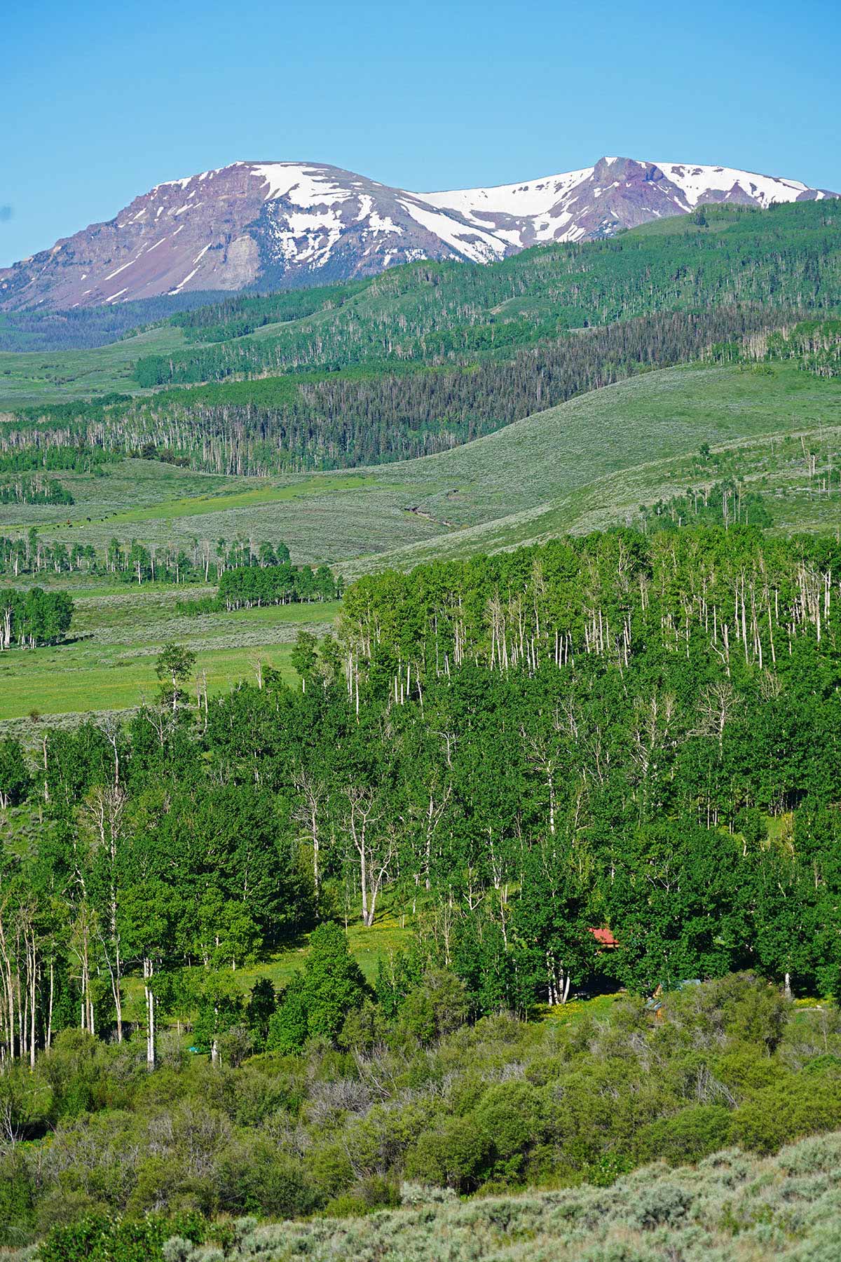 Owen-Skiles Sunnyside Ranch property picture 23 of 54