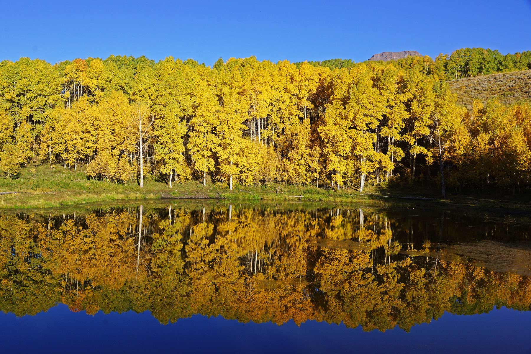 Owen-Skiles Sunnyside Ranch property picture 19 of 54
