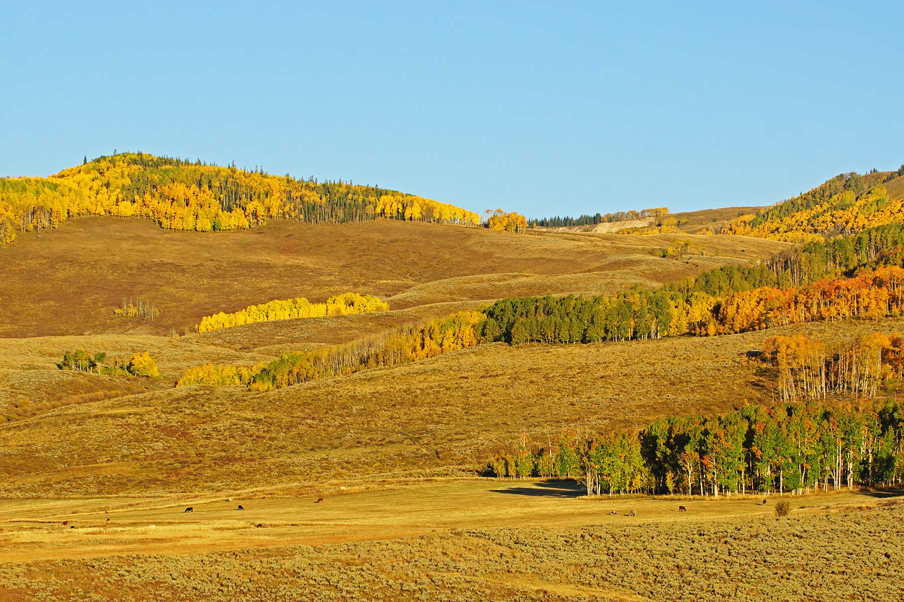 Owen-Skiles Sunnyside Ranch property picture 16 of 54