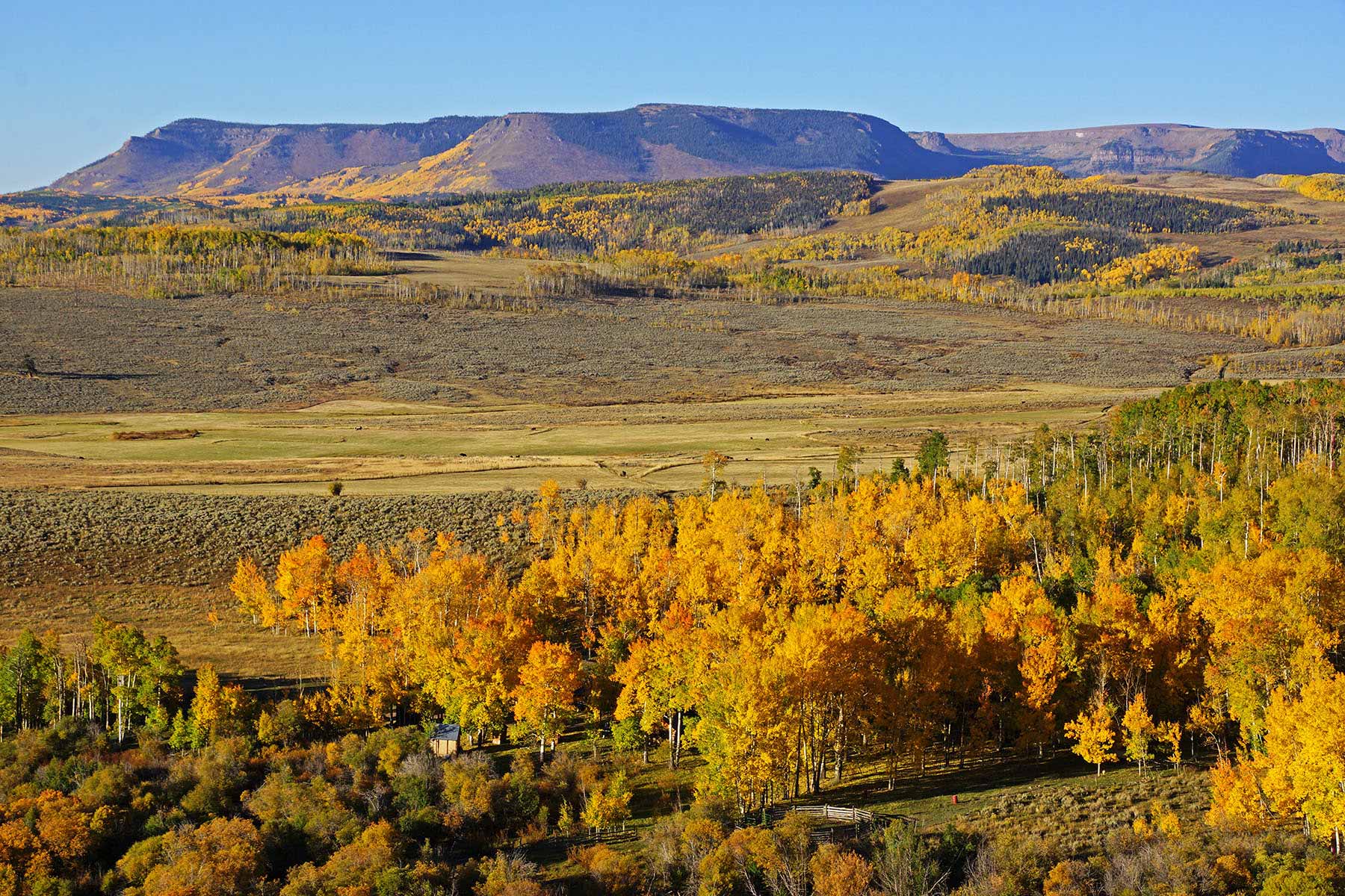 Owen-Skiles Sunnyside Ranch property picture 6 of 54
