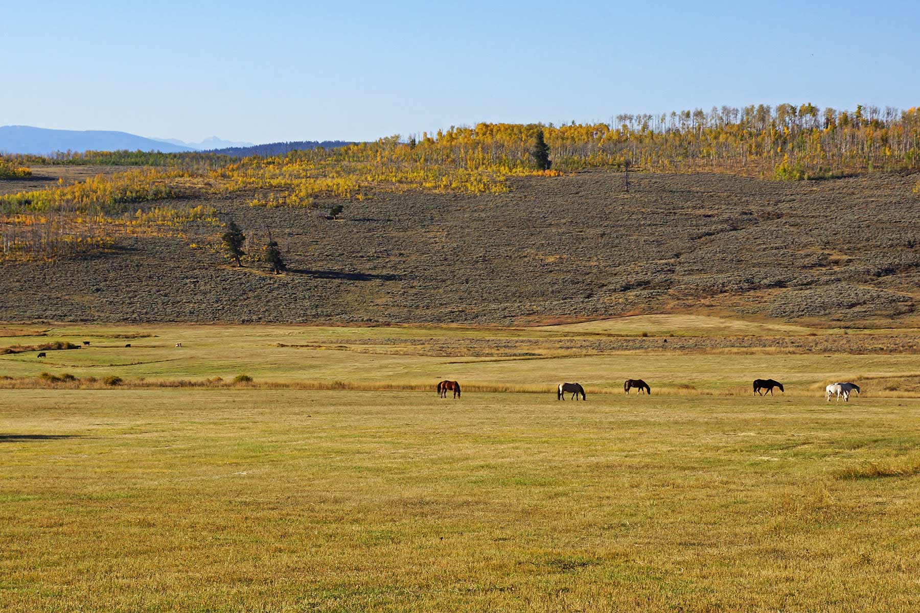 Owen-Skiles Sunnyside Ranch property picture 21 of 54
