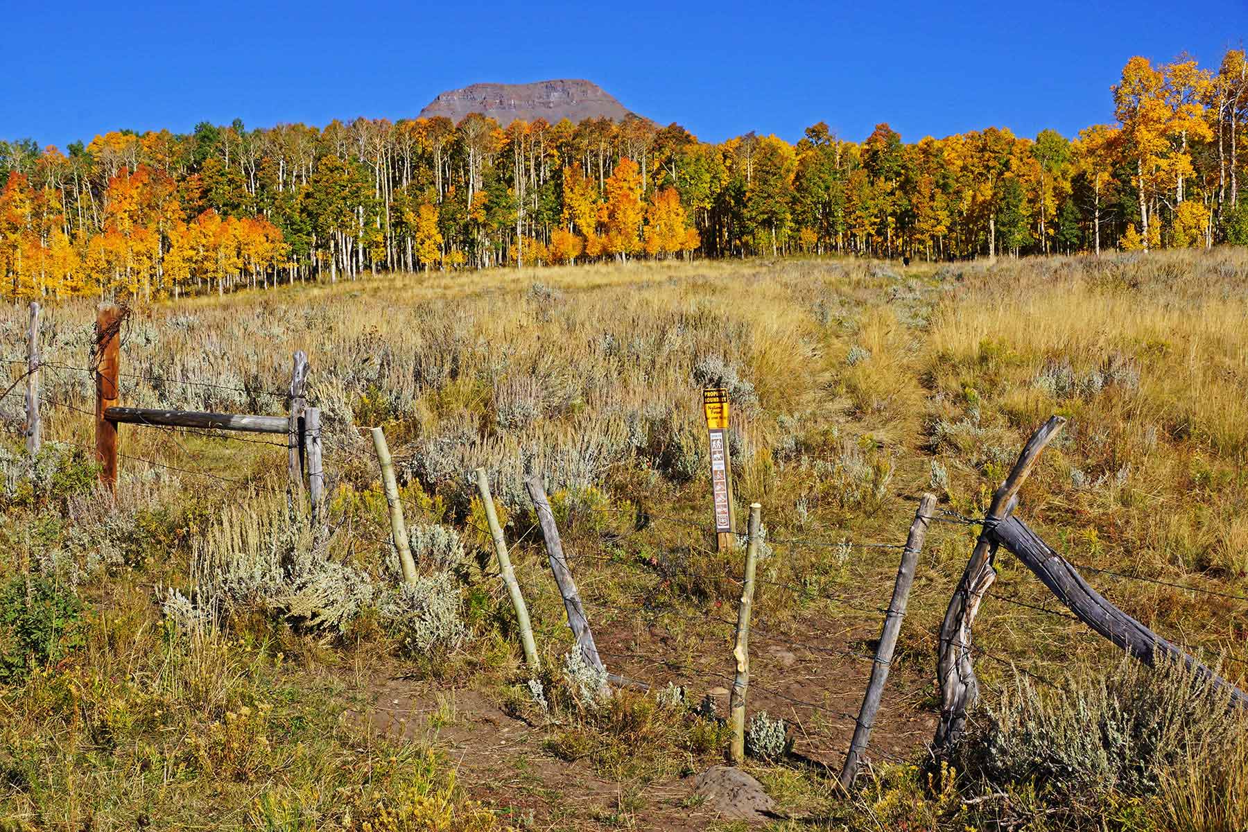 Owen-Skiles Sunnyside Ranch property picture 22 of 54