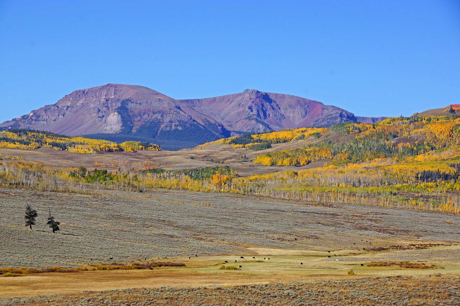 Owen-Skiles Sunnyside Ranch property picture 11 of 54