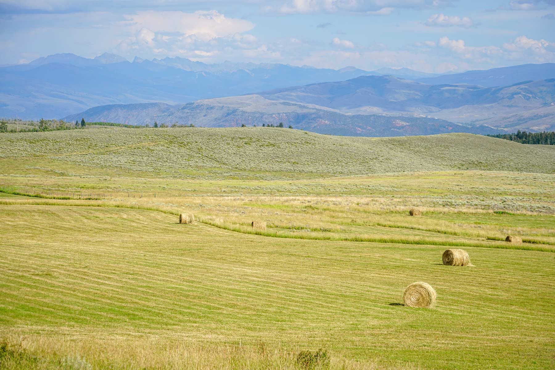 Owen-Skiles Sunnyside Ranch property picture 10 of 54
