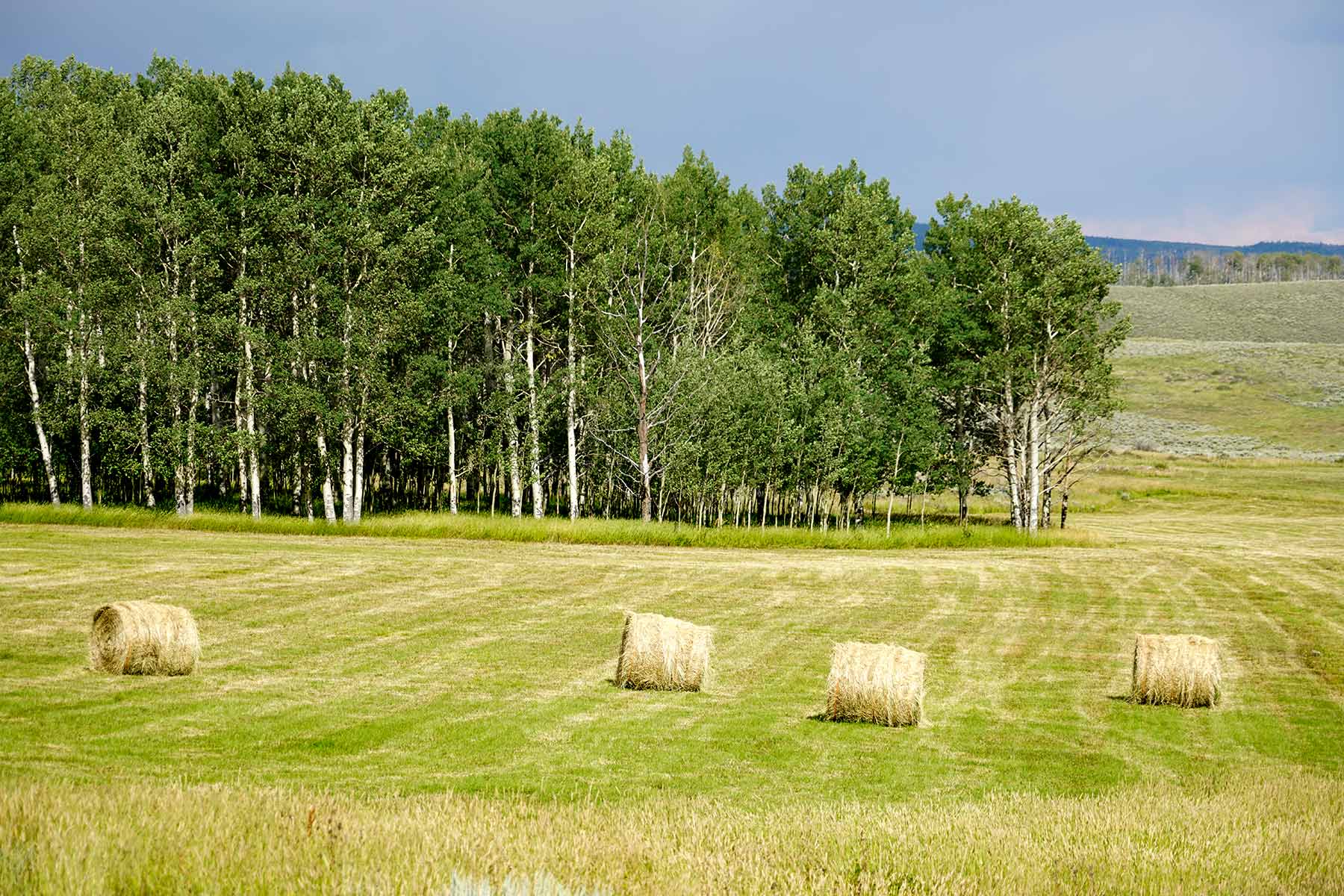 Owen-Skiles Sunnyside Ranch property picture 54 of 54