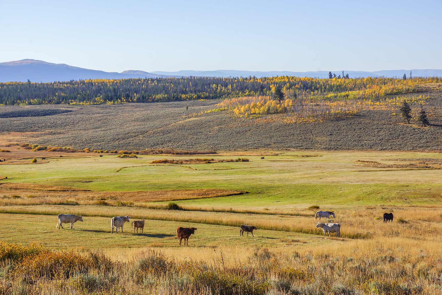 Owen-Skiles Sunnyside Ranch property picture 51 of 54