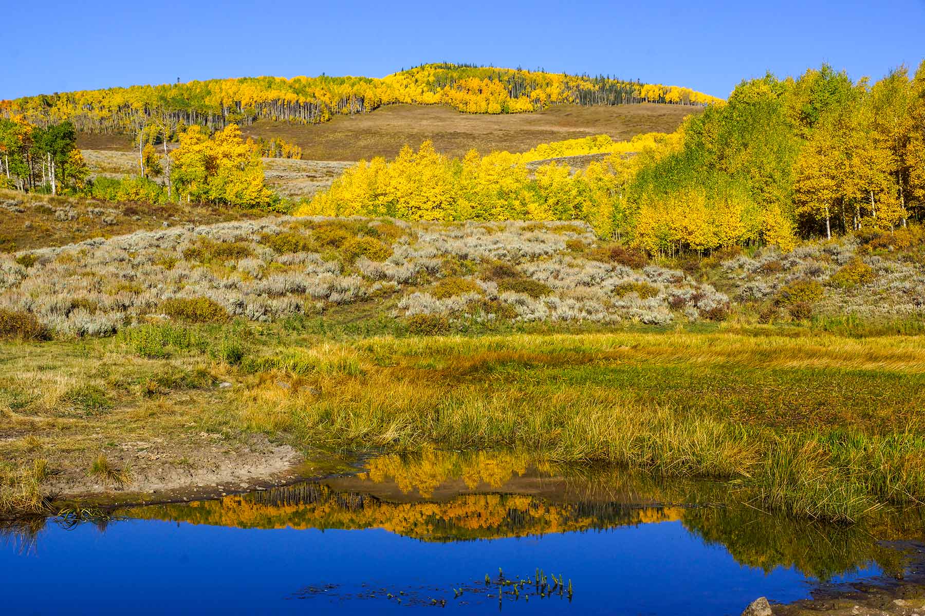 Owen-Skiles Sunnyside Ranch property picture 14 of 54