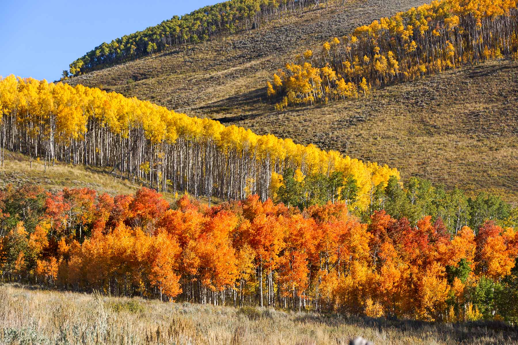 Owen-Skiles Sunnyside Ranch property picture 49 of 54