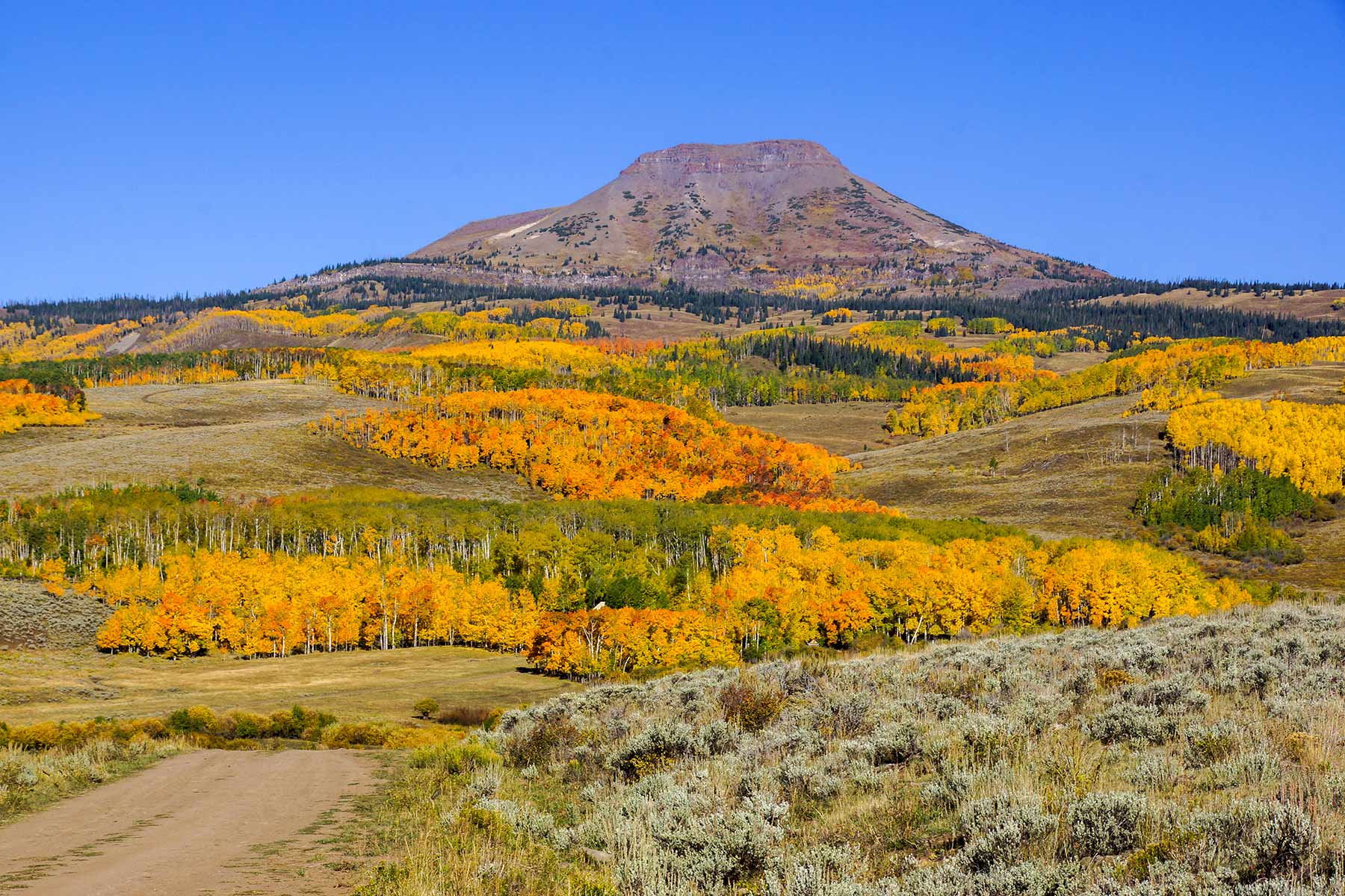 Owen-Skiles Sunnyside Ranch property picture 24 of 54