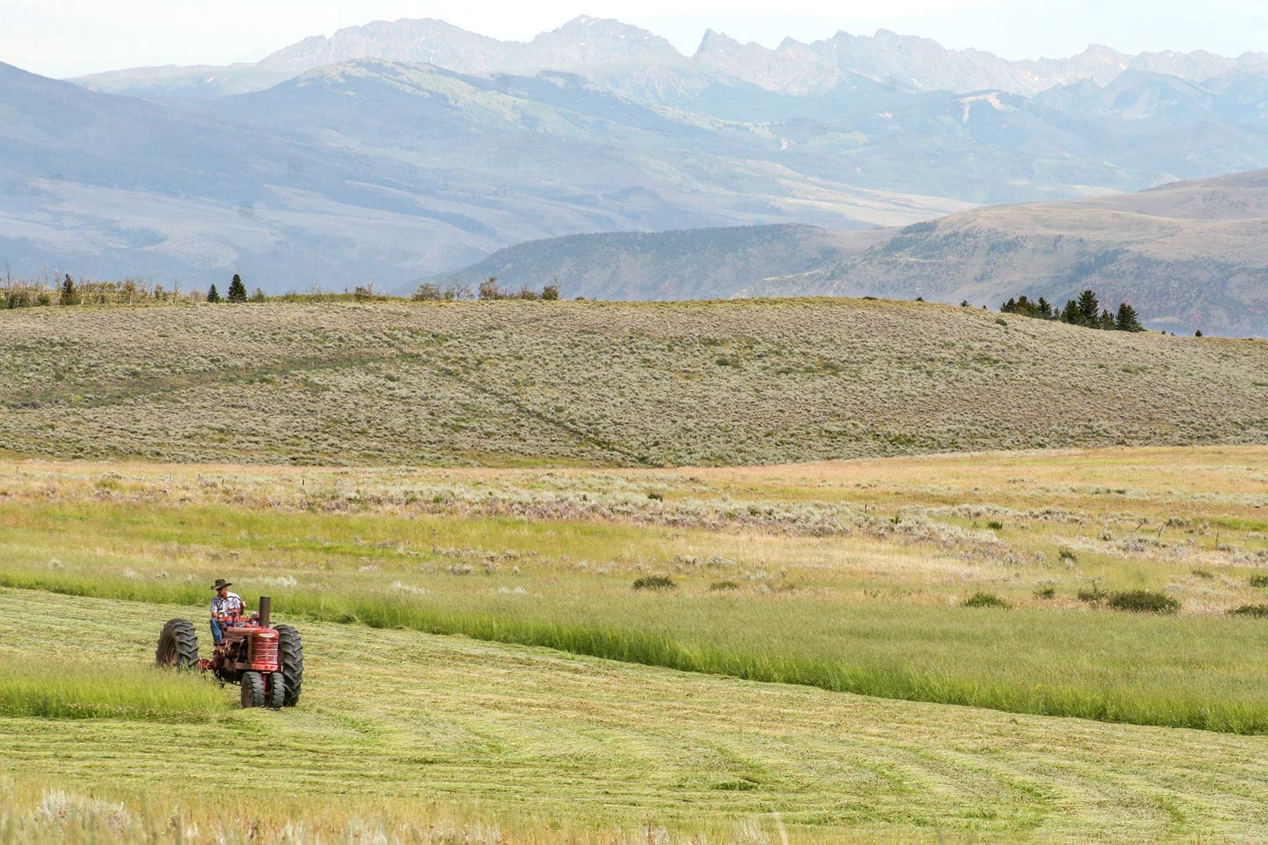 Owen-Skiles Sunnyside Ranch property picture 18 of 54