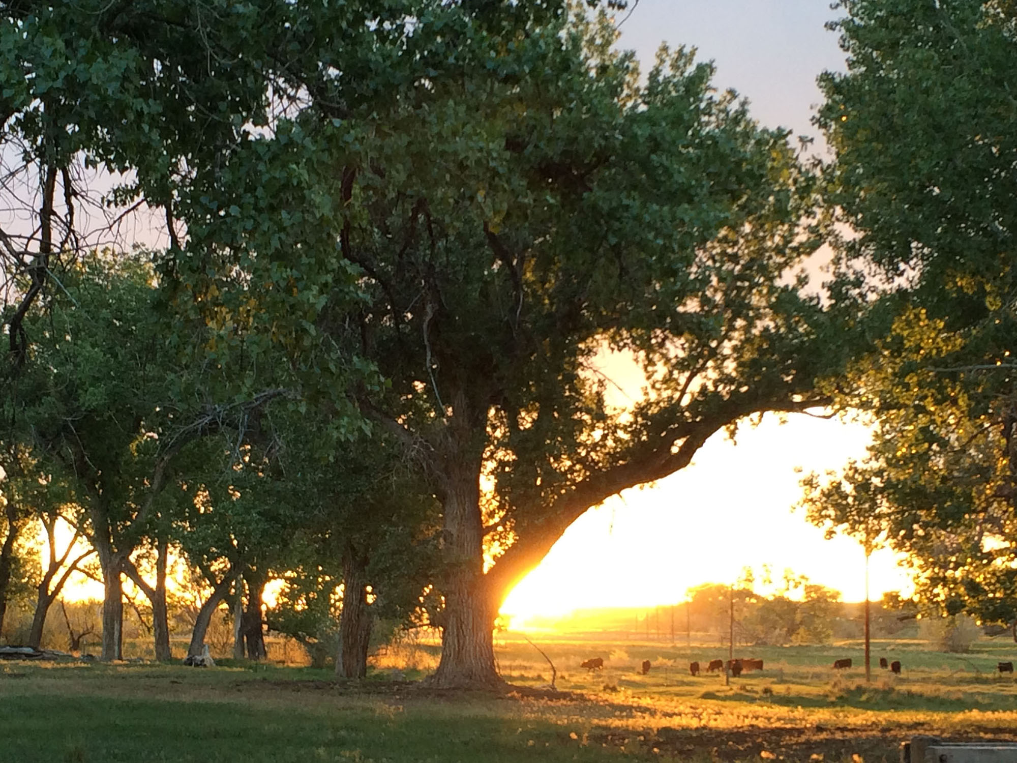 Mote Ranch property picture 5 of 10
