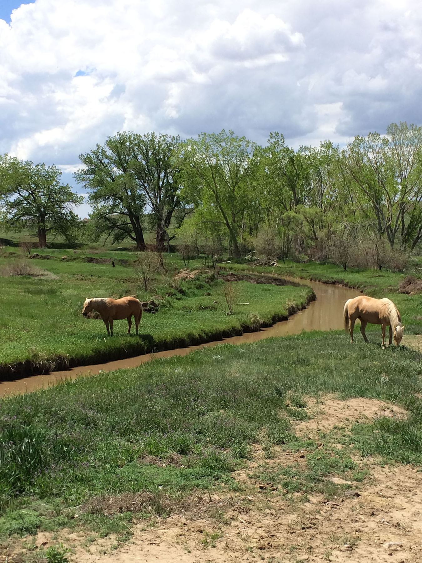 Mote Ranch property picture 4 of 10