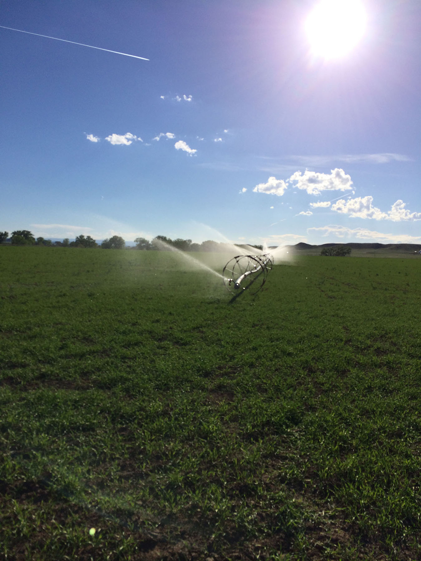 Mote Ranch property picture 2 of 10