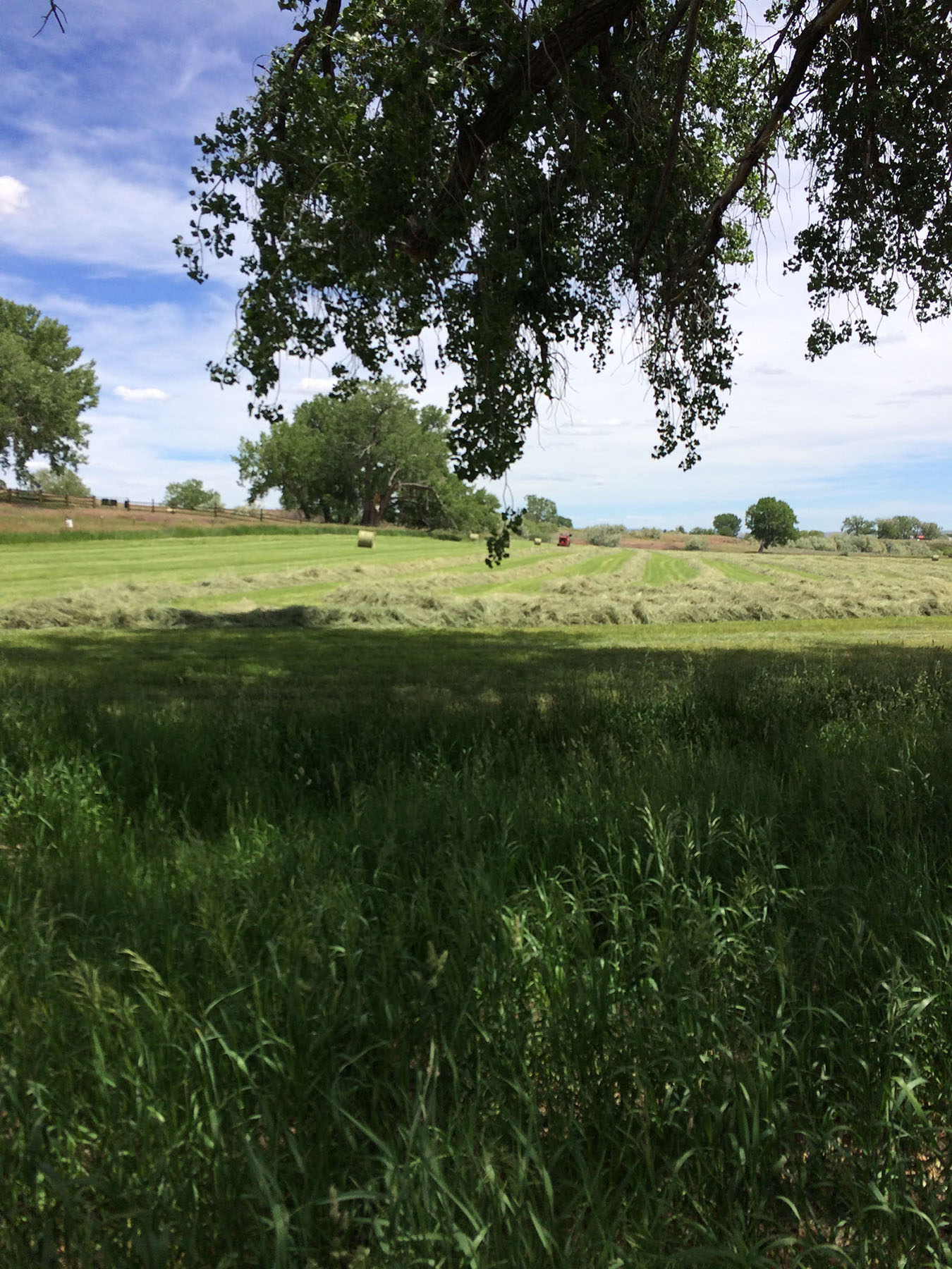 Mote Ranch property picture 6 of 10