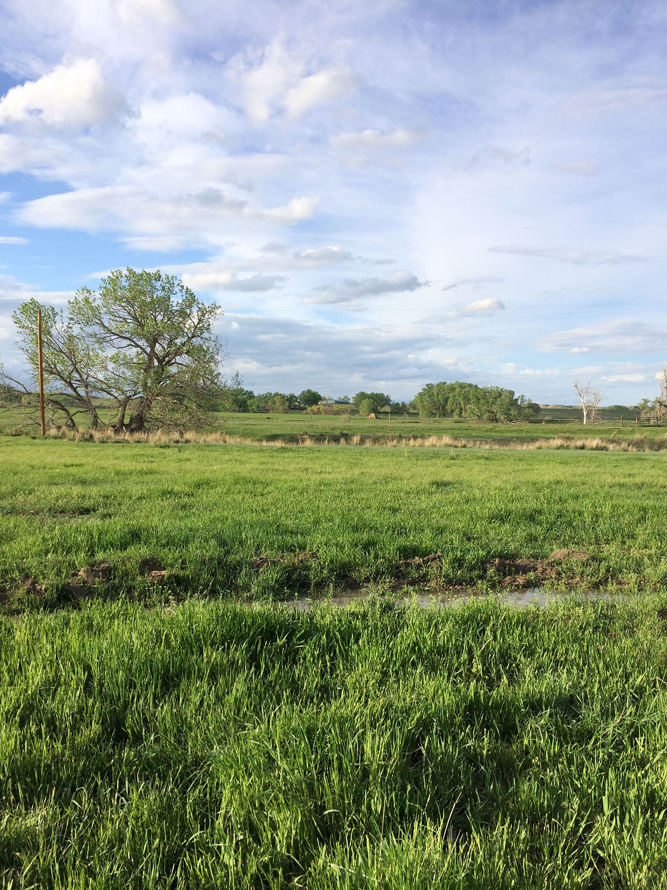 Mote Ranch property picture 8 of 10