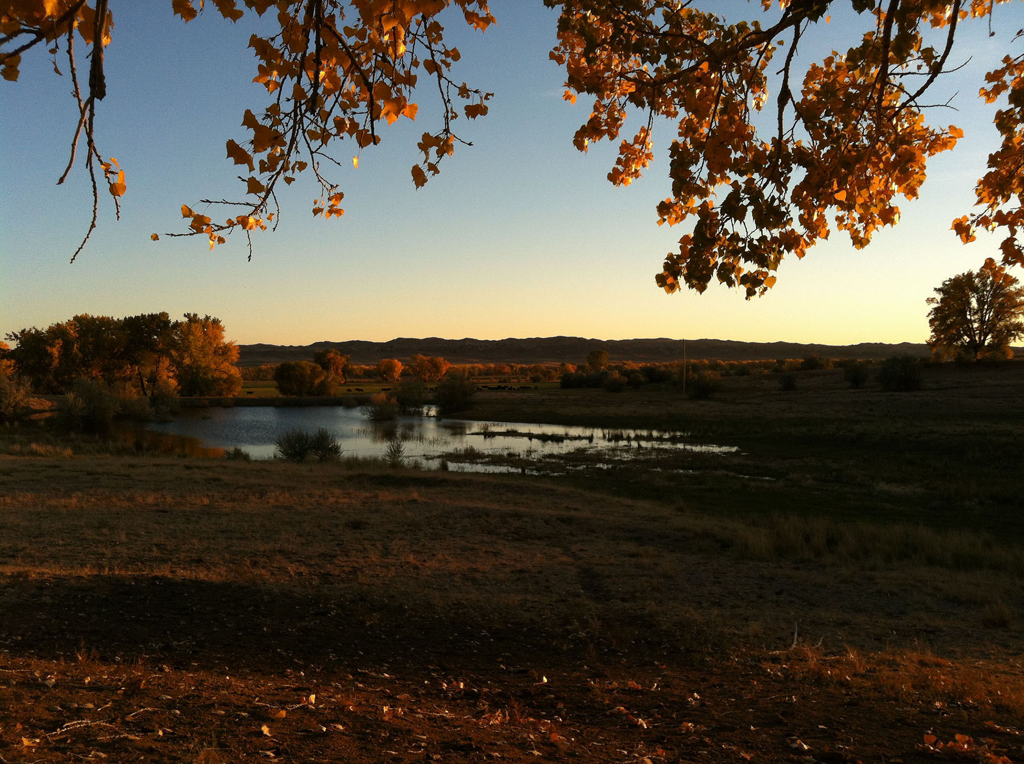 Mote Ranch property picture 9 of 10