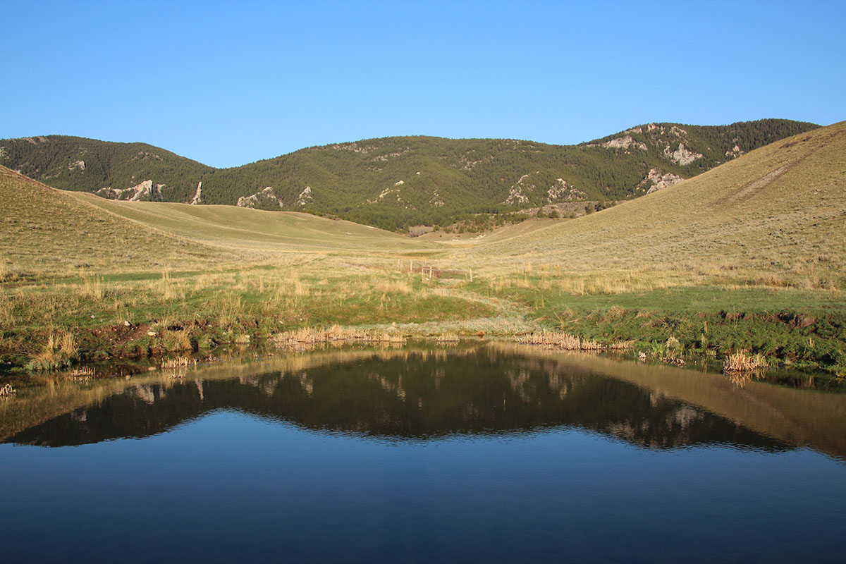 Bull Creek Ranch property picture 5 of 16